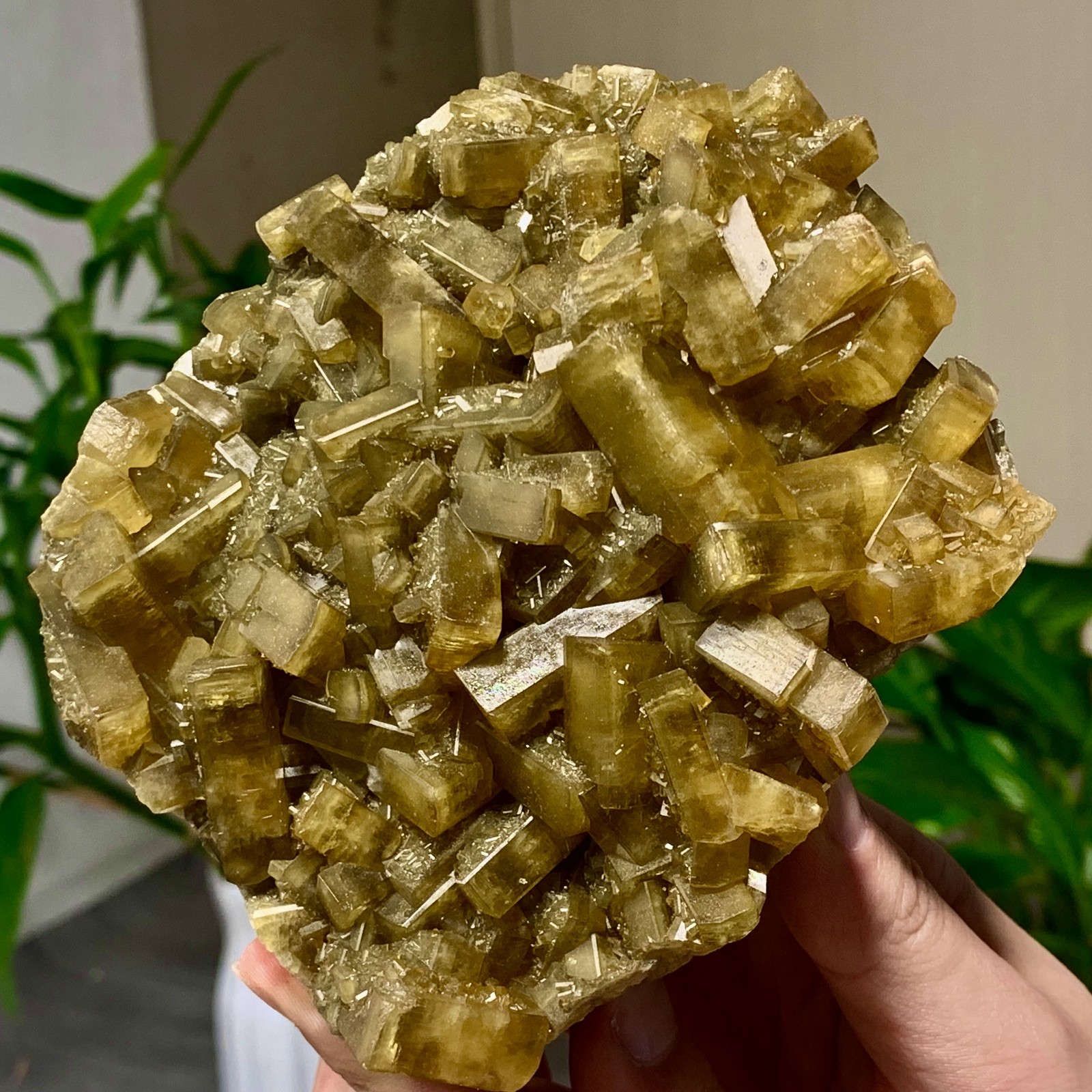 2.82LB Shiny Golden Cuboid Barite Crystal Based on the Purple Spherical Fluorite