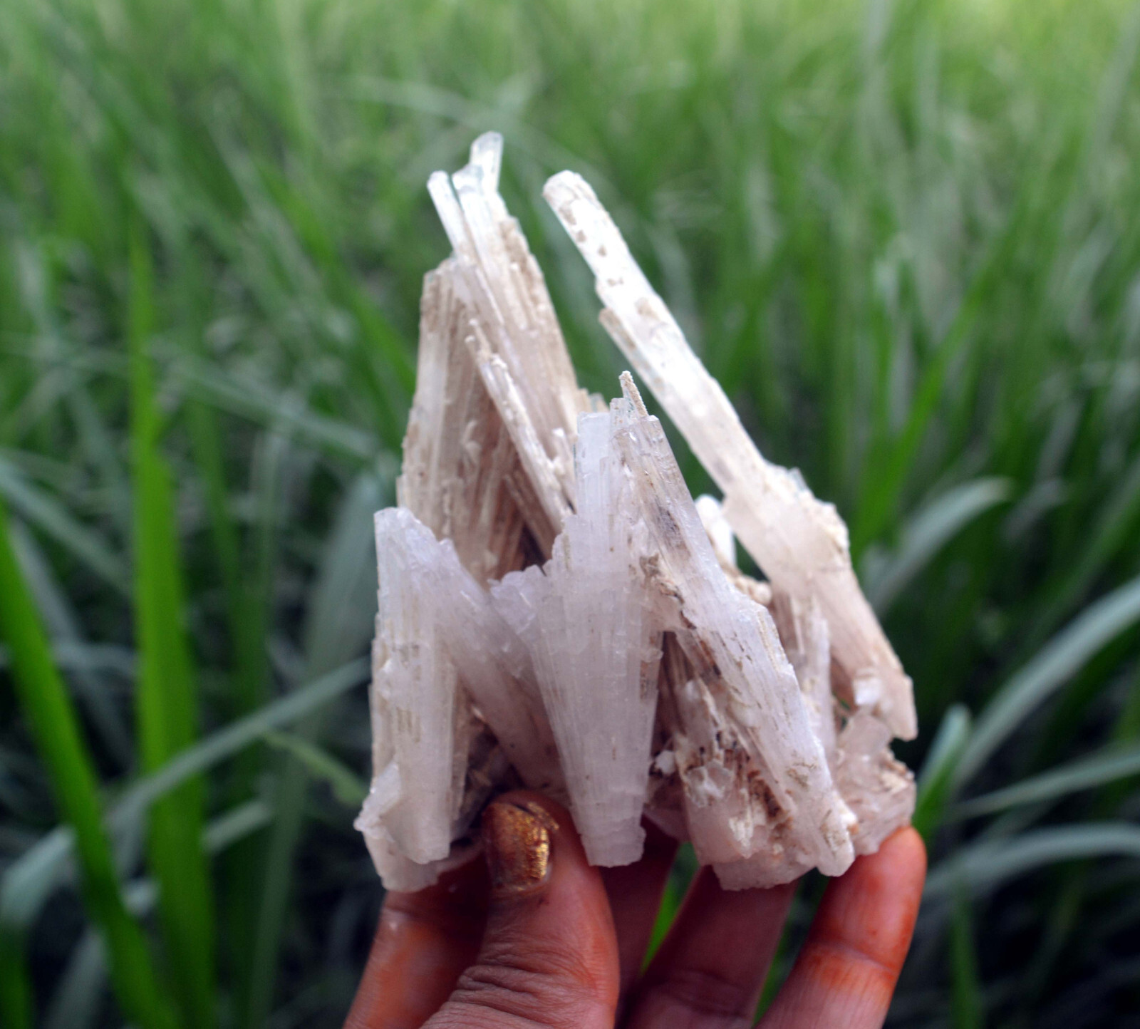 scolecite spray formation minerals specimen j-7