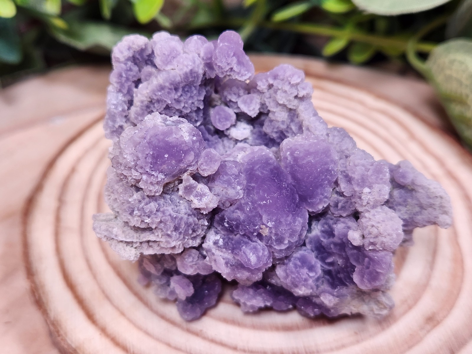 Grape Agate Crystal Cluster Indonesia Purple Botryoidal Druzy 66g 2.5″ Y6