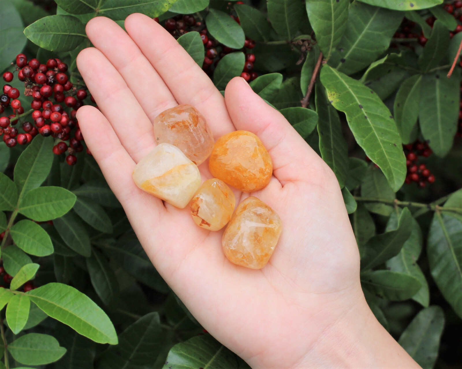5 Golden Healer Quartz Tumbled Stones: ‘A’ Grade Natural Polished Crystals
