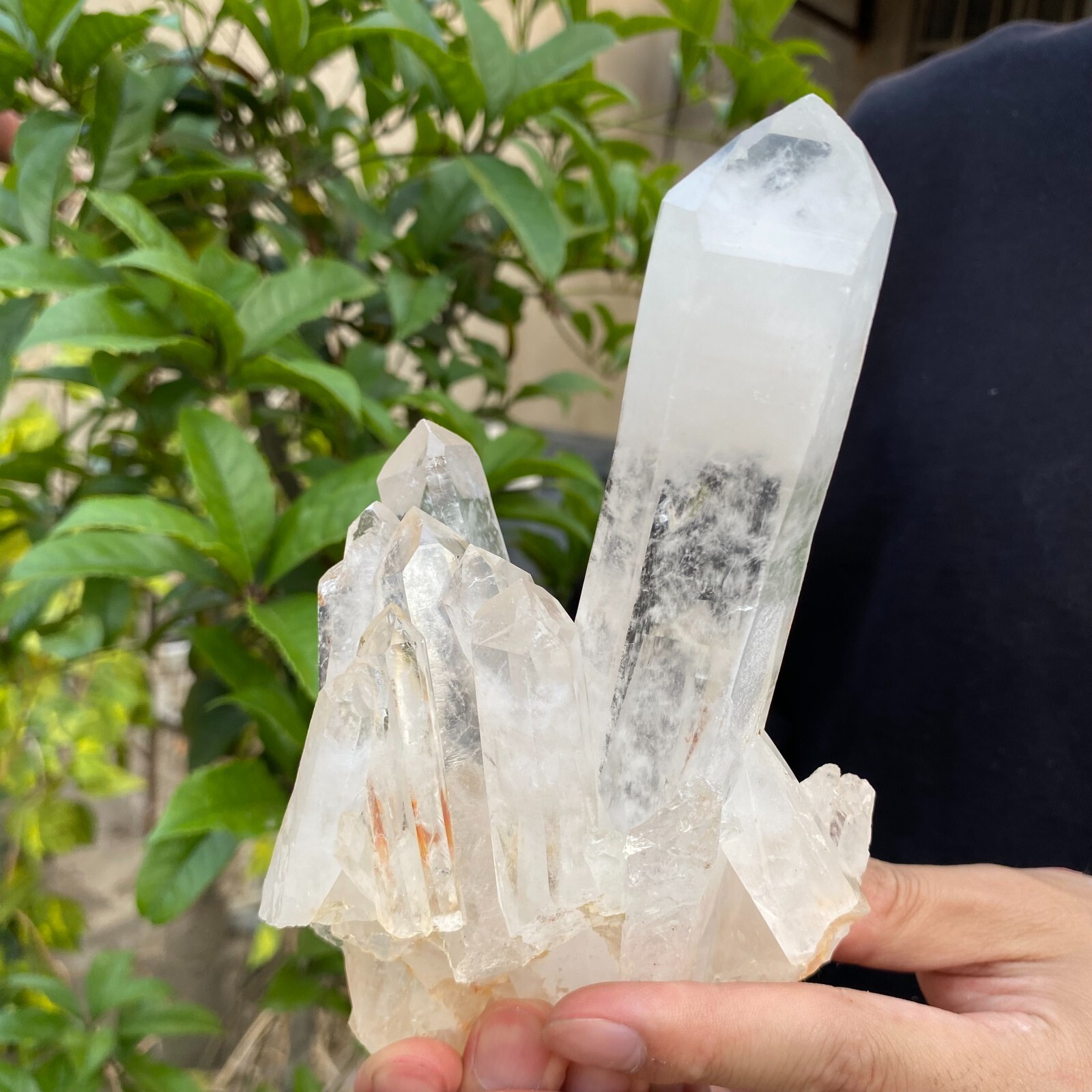 1.2lb Natural Clear White quart Crystal Cluster Raw Healing Specimen