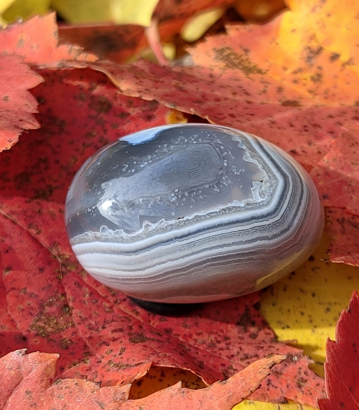 POLISHED BEAUTIFUL BOTSWANA AGATE, NATURAL LAYERED BANDING, 32g BOTSWANA AGATE