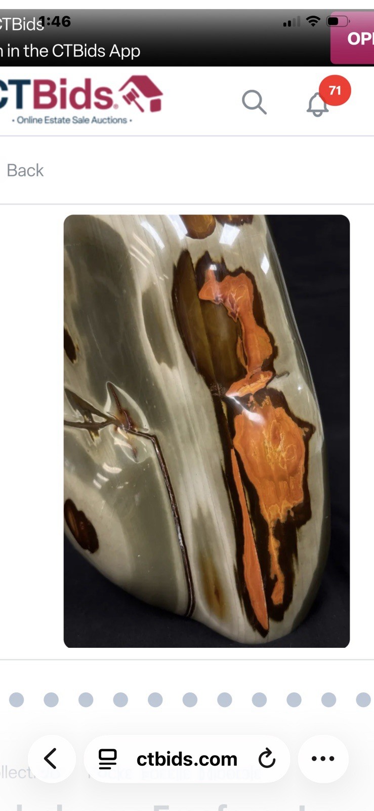 Stunning Madagascar POLYCHROME JASPER 9”x 8” and 15.8 Pounds