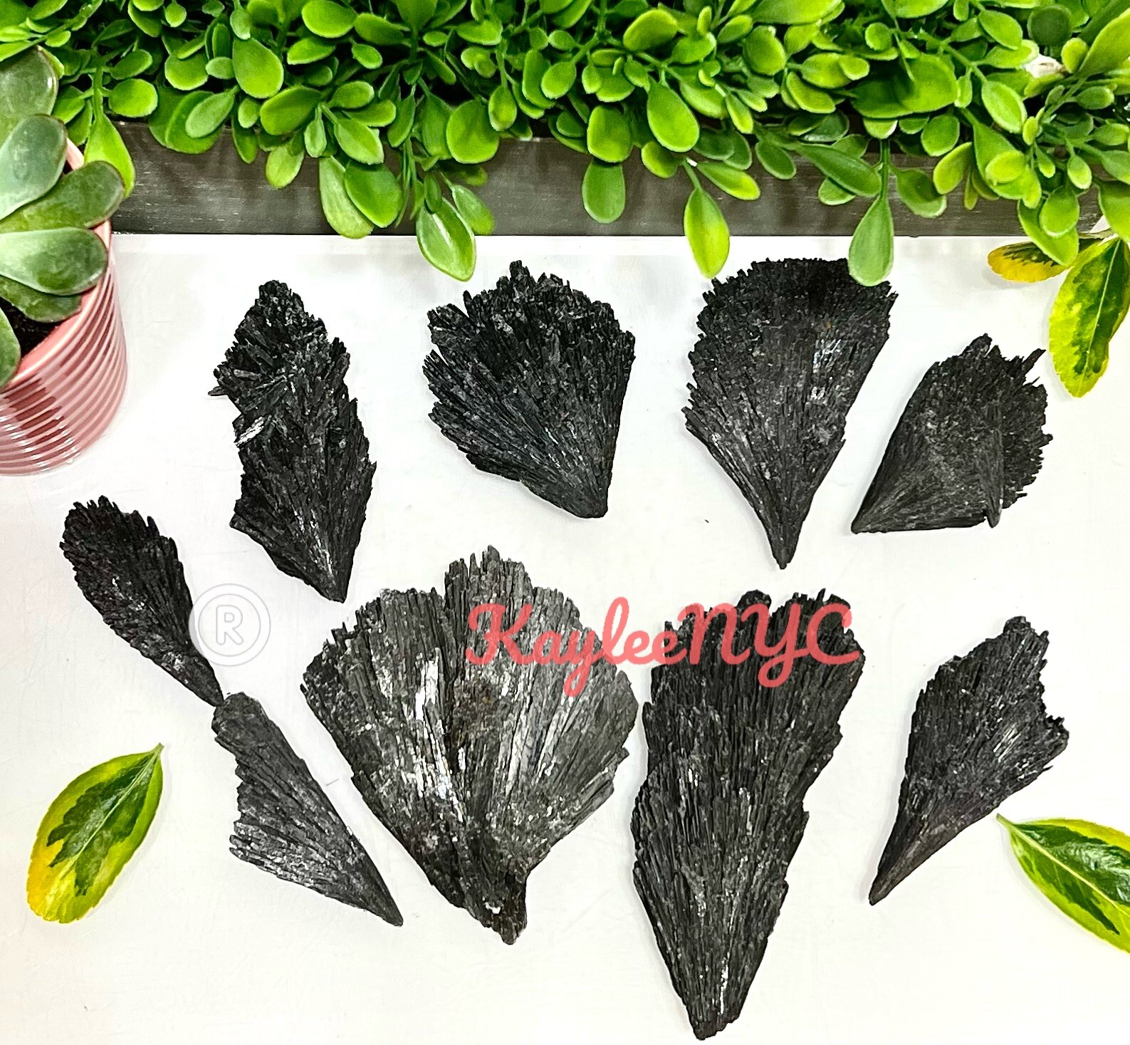 Wholesale Lot 1 Lb Natural Black Kyanite Raw Crystal Healing Energy