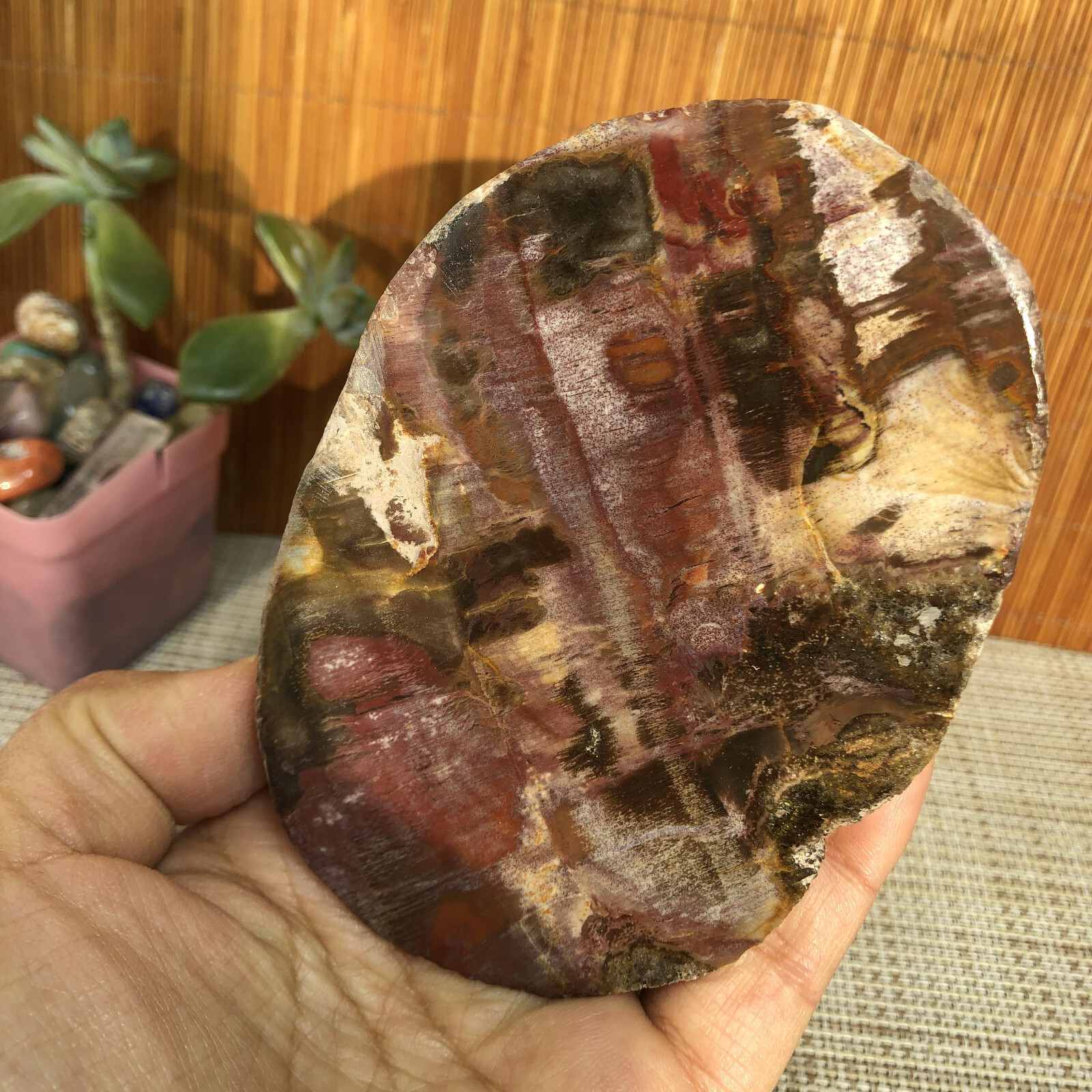 109mm natural Beautiful Petrified Wood Crystal Slice mineral specimen 341g A4860