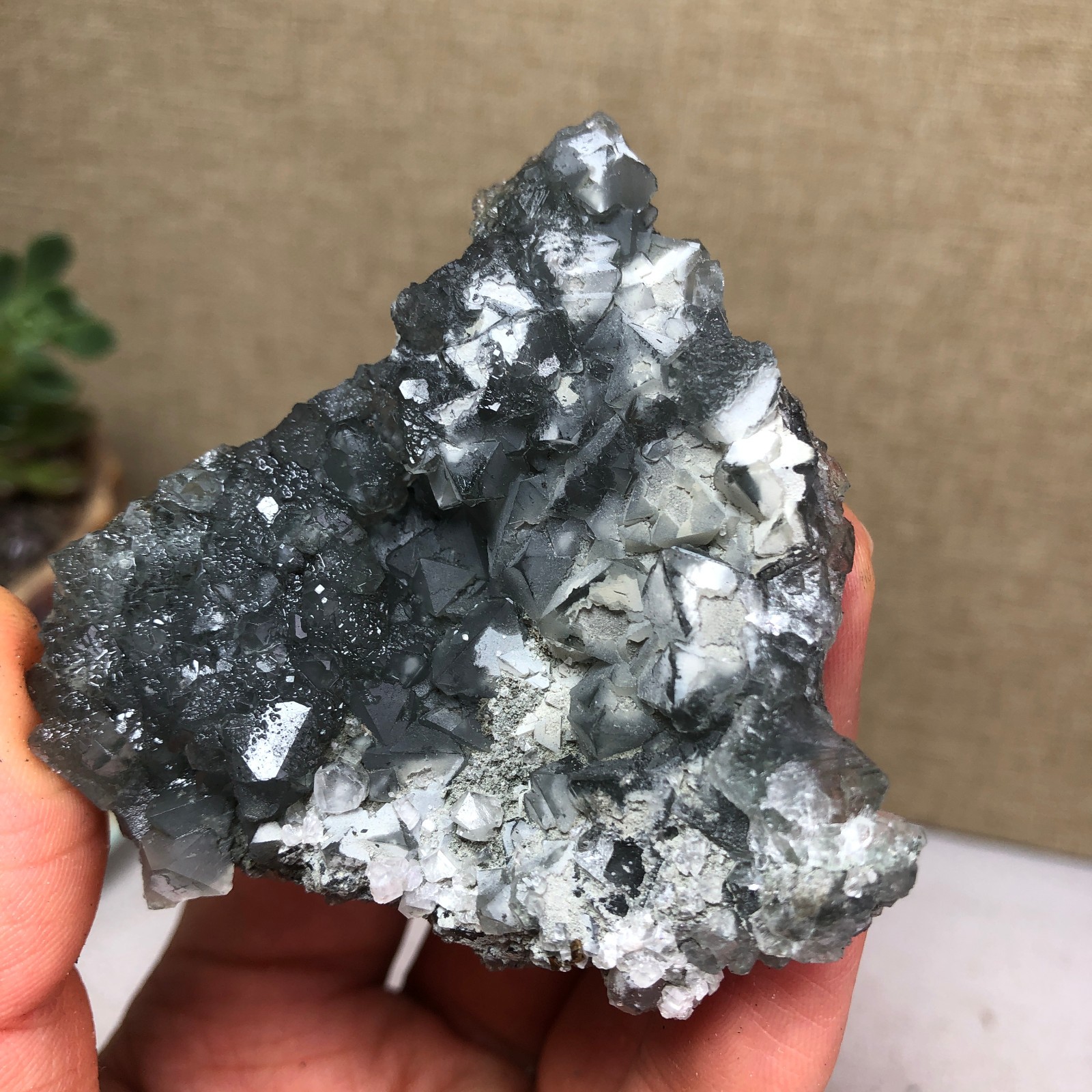 78g NATURAL Green Cubic FLUORITE Crystal Cluster Mineral Specimen A4734