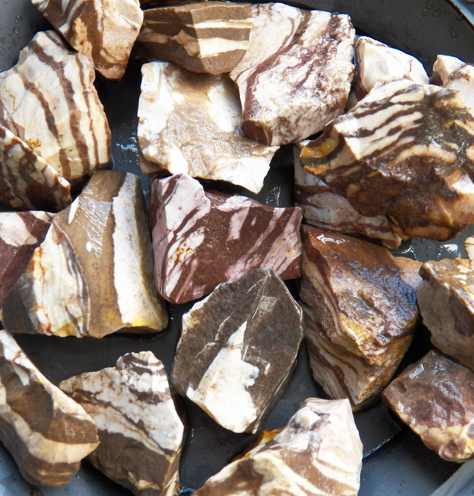 8 oz Zebra Jasper Rough Tumbling Rock from Brazil 1/2 lb