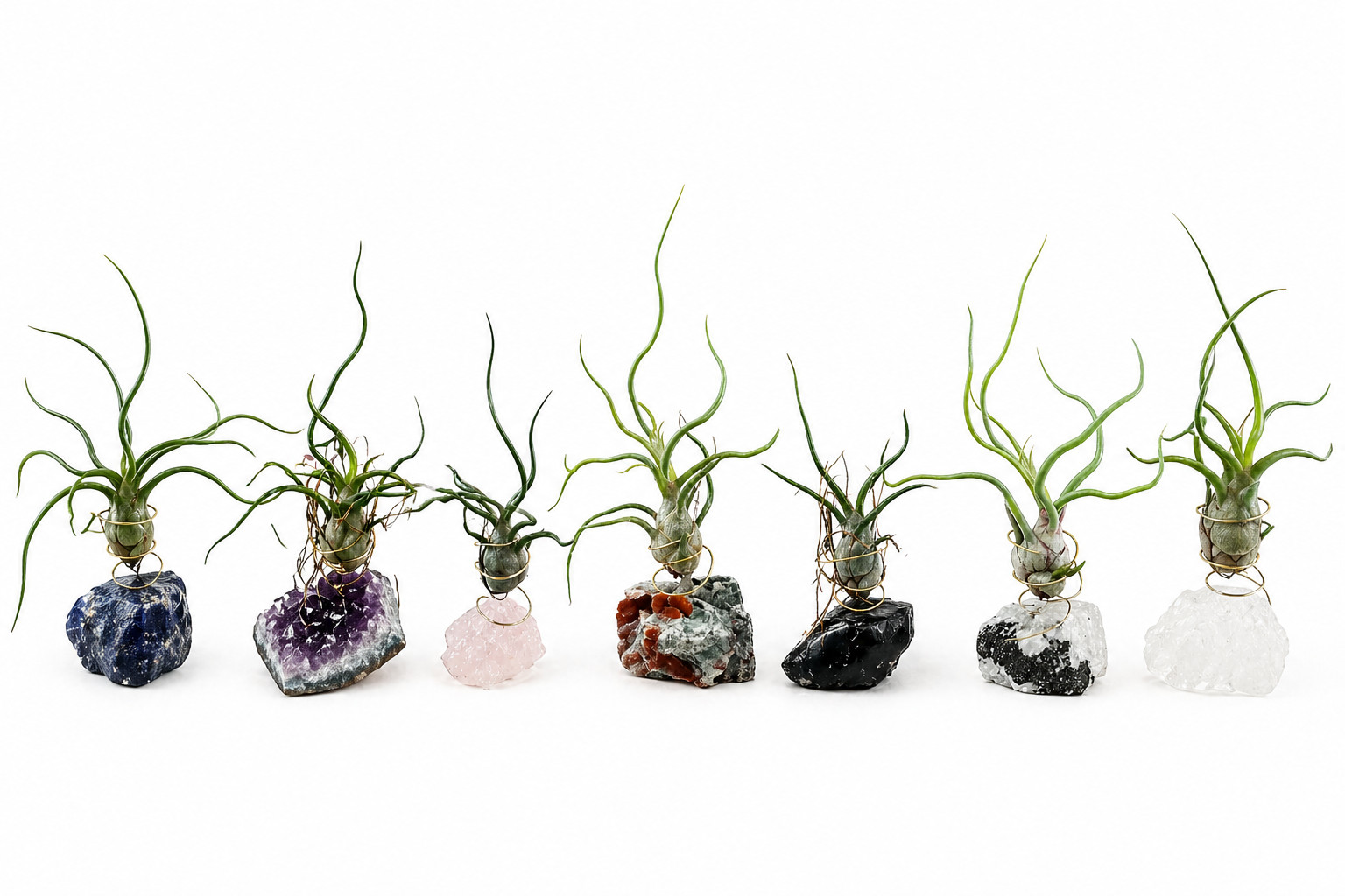 Natural Geode Crystal with Live Air Plant + Spray Bottle Care Kit Unique GIFT