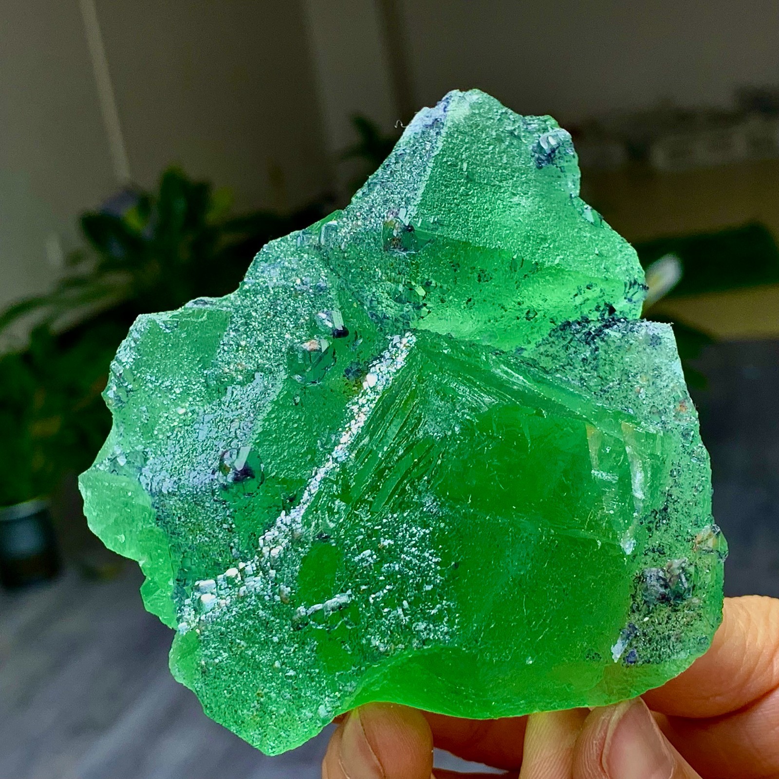 1.24LB Rare transparent green cubic Zhejiang fluorite mineral sample