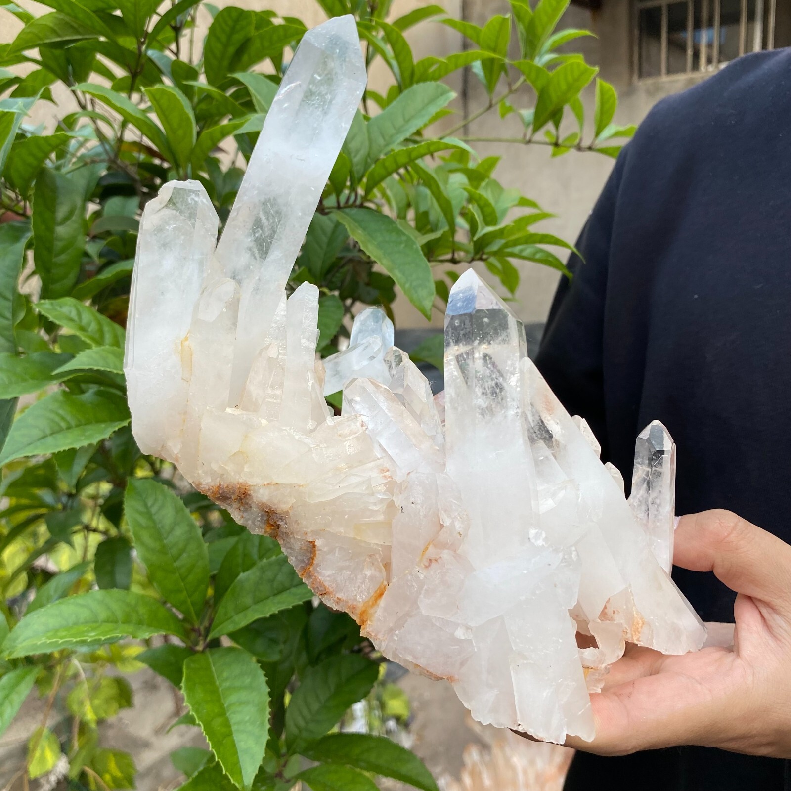 3.1lb Natural Clear White quart Crystal Cluster Raw Healing Specimen