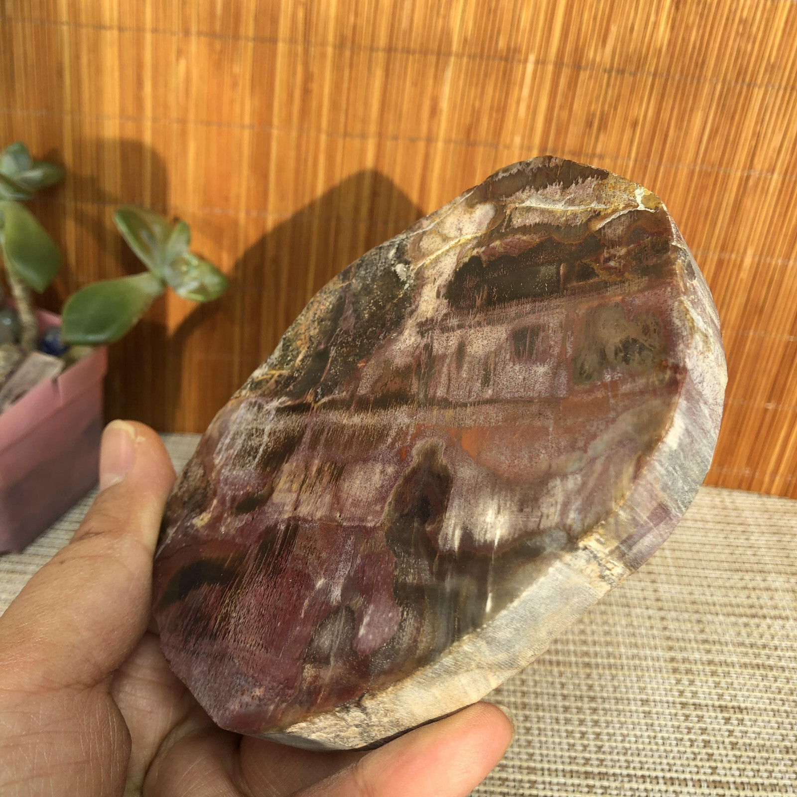 109mm natural Beautiful Petrified Wood Crystal Slice mineral specimen 341g A4860