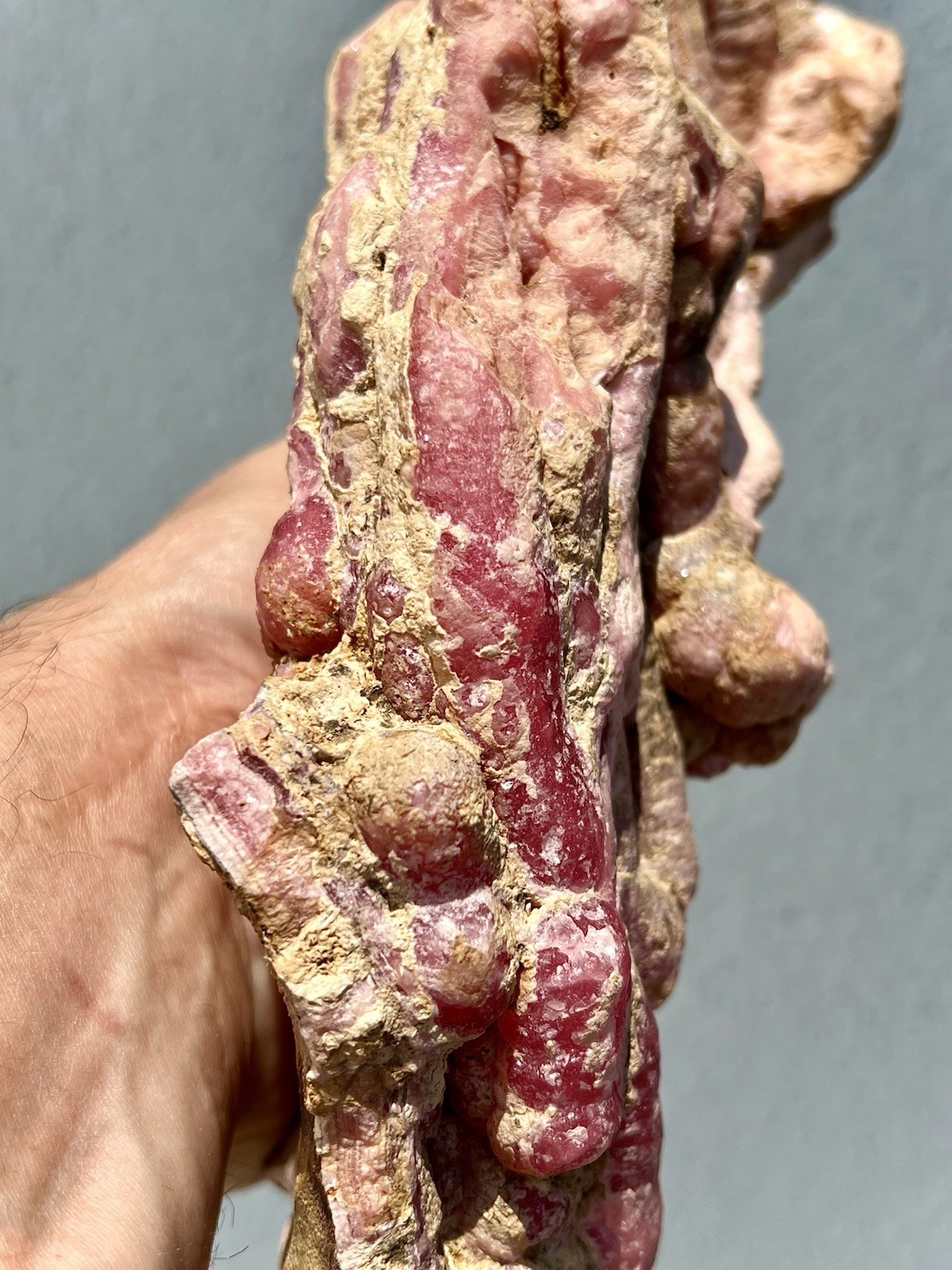 6.8 Pound: Rhodochrosite Stalactite Cluster Massive Ortiz, Capillitas, Argentina