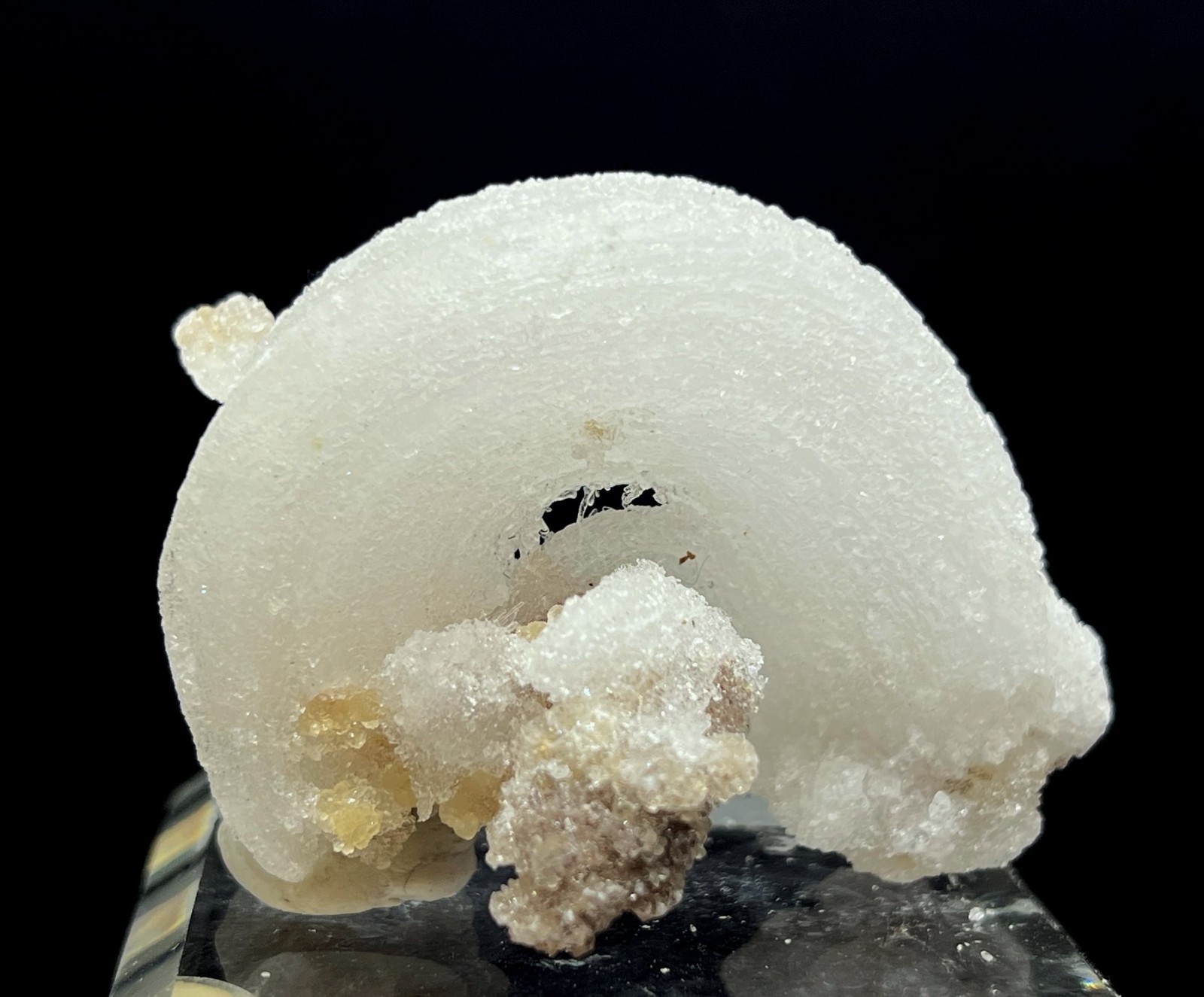60mm 41g ‘Ram’s Horn’ shape Selenite (Gypsum), Natural Mineral Specimen