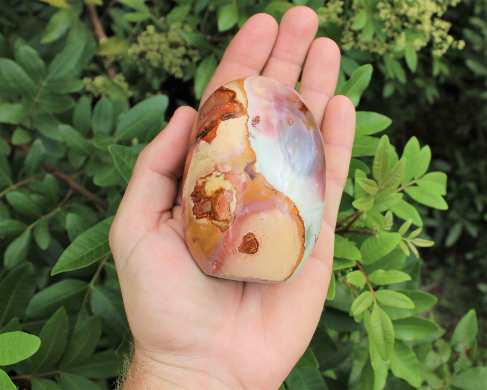Polished Polychrome Jasper Freeform – Beautiful Free Standing Display Specimens