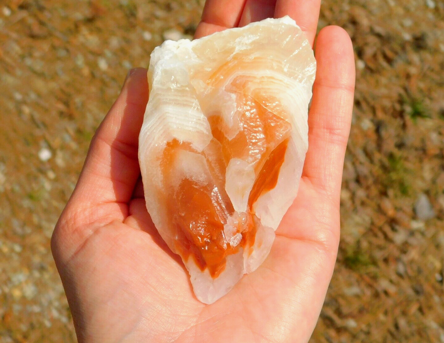 Calcite Tri-Color Red Clear White 206g Chakra Energy Healing Meditation Display