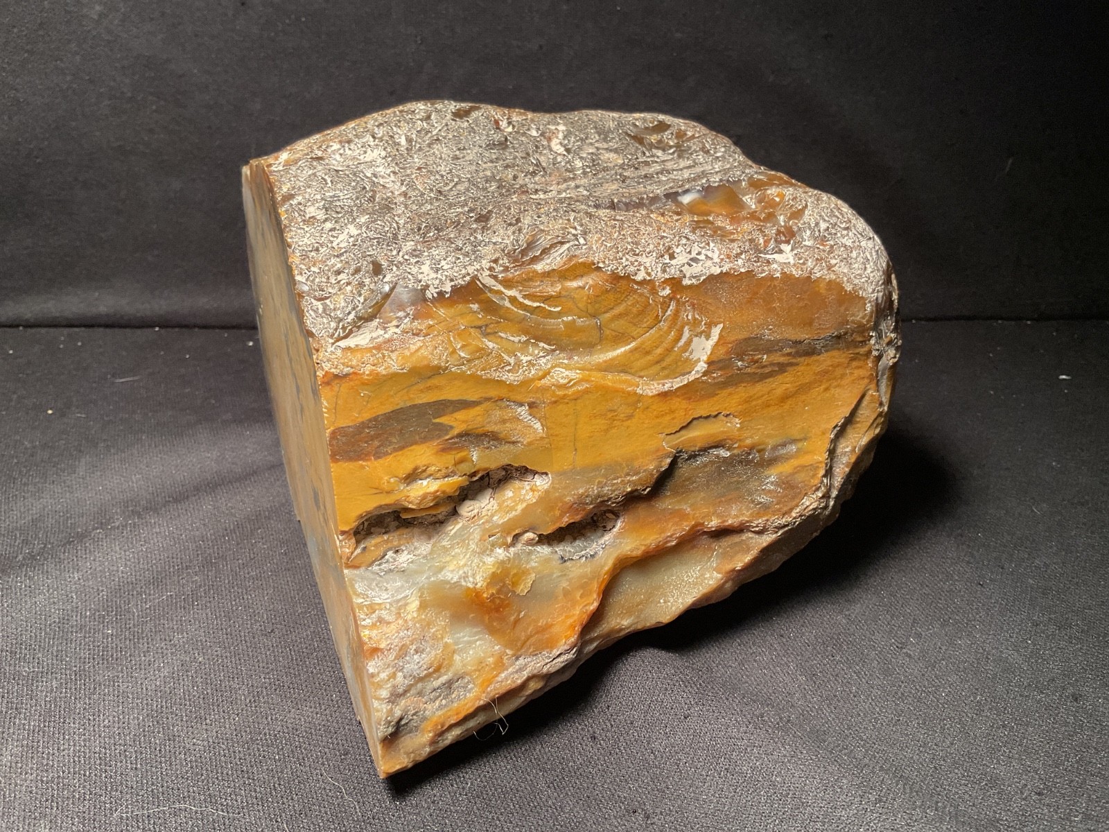 ~RW~ ROUGH/UNPOLISHED “EASTERN OREGON JASPER” ~~ 8 POUND PIECE
