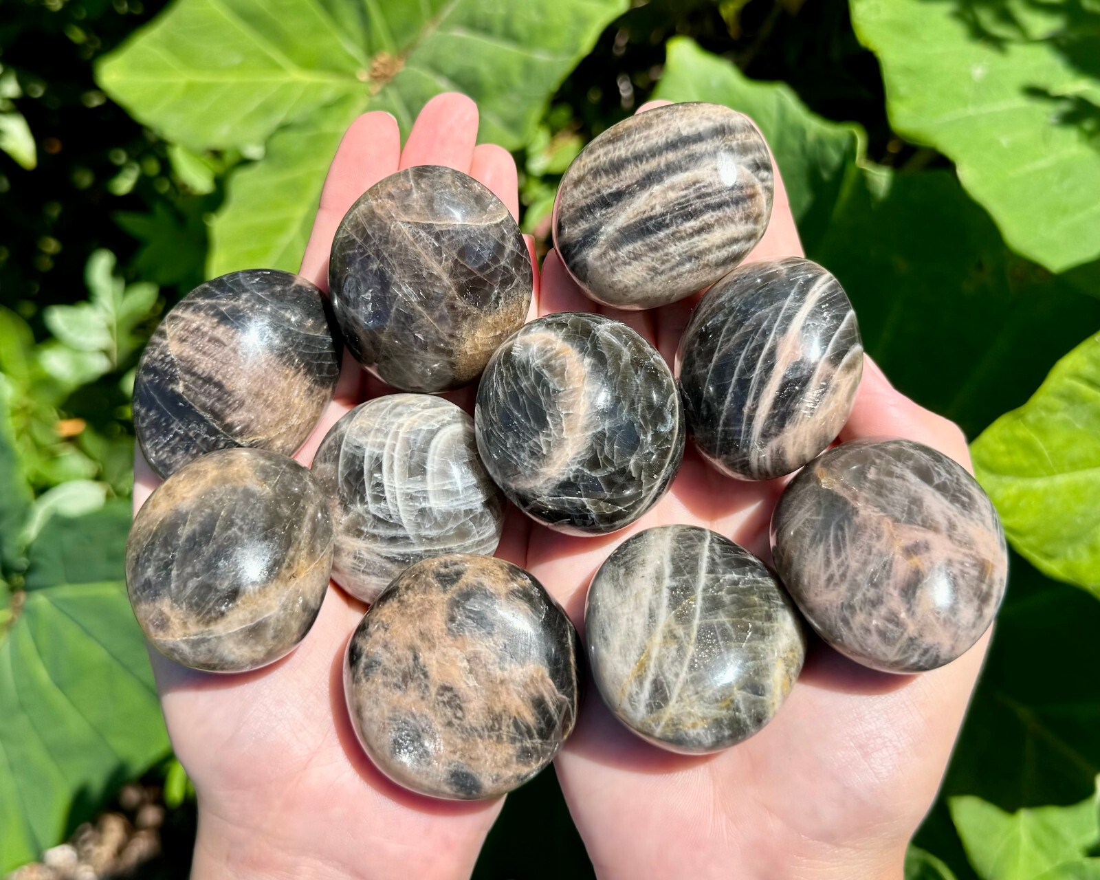 Black Moonstone Palm Stone: Hand Polished Moonstone Pebbles (Wholesale Bulk Lot)