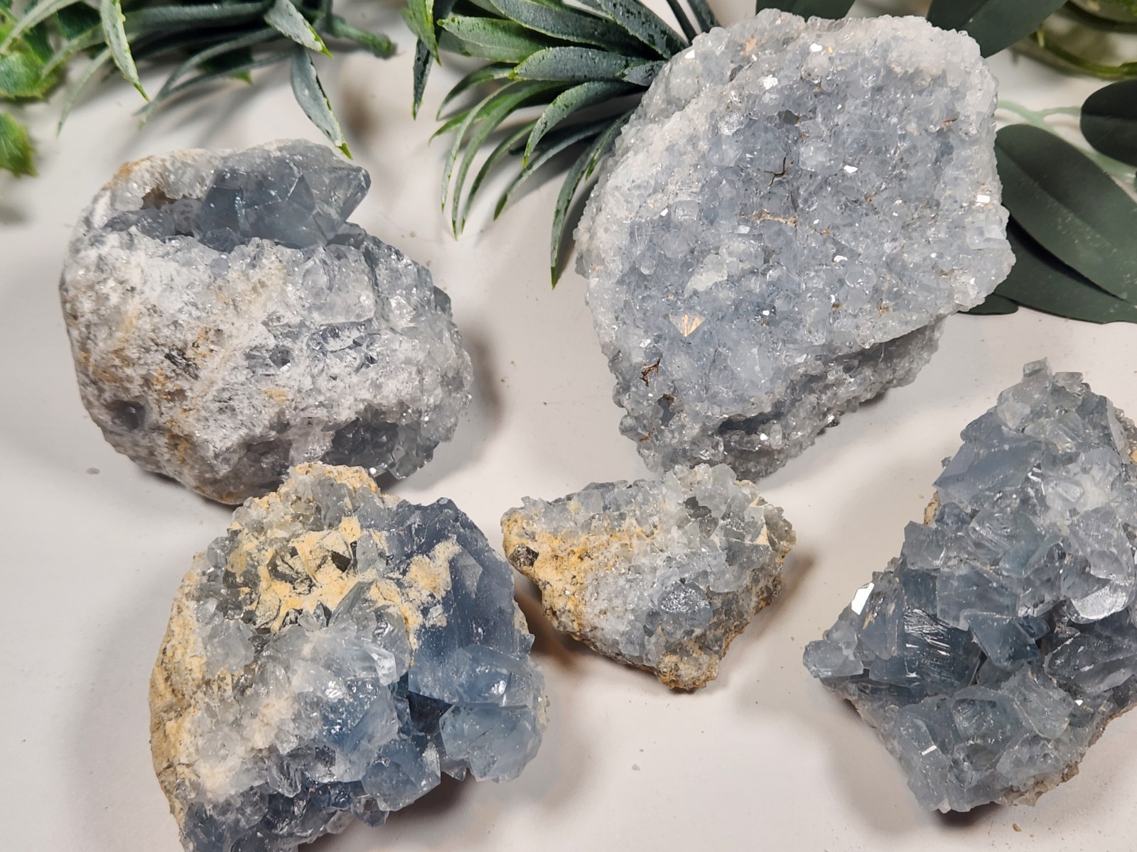 5pc Celestite 2 Ib Lot Crystal Clusters From Madagascar. Exact Specimens Cellot2