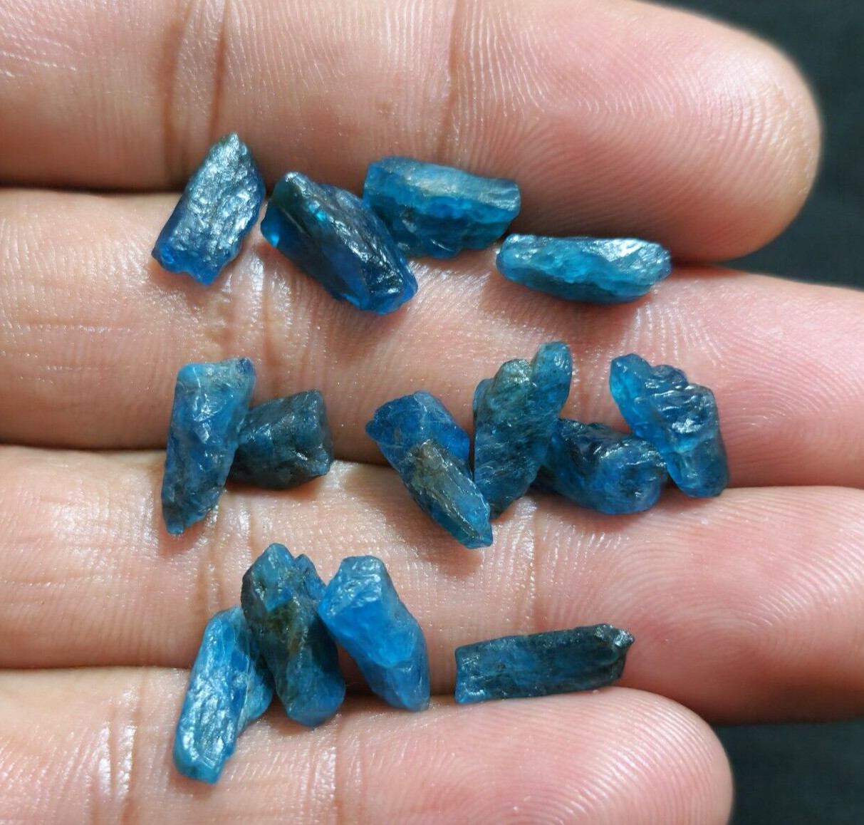 Beautiful Top Blue Apatite Crystal Rough 15 Pcs Lot Size 11-13 MM Loose Gemstone