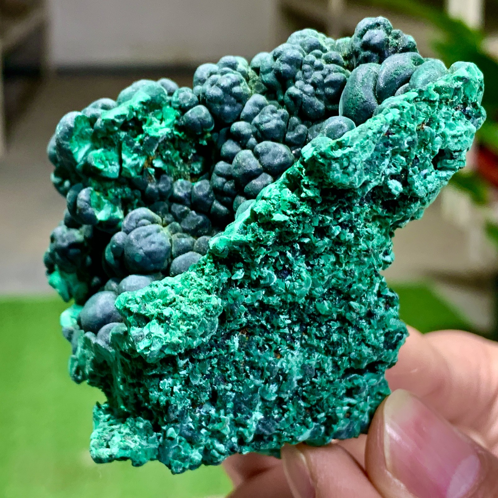 205G Natural glossy malachite cat eye transparent cluster rough mineral Sample