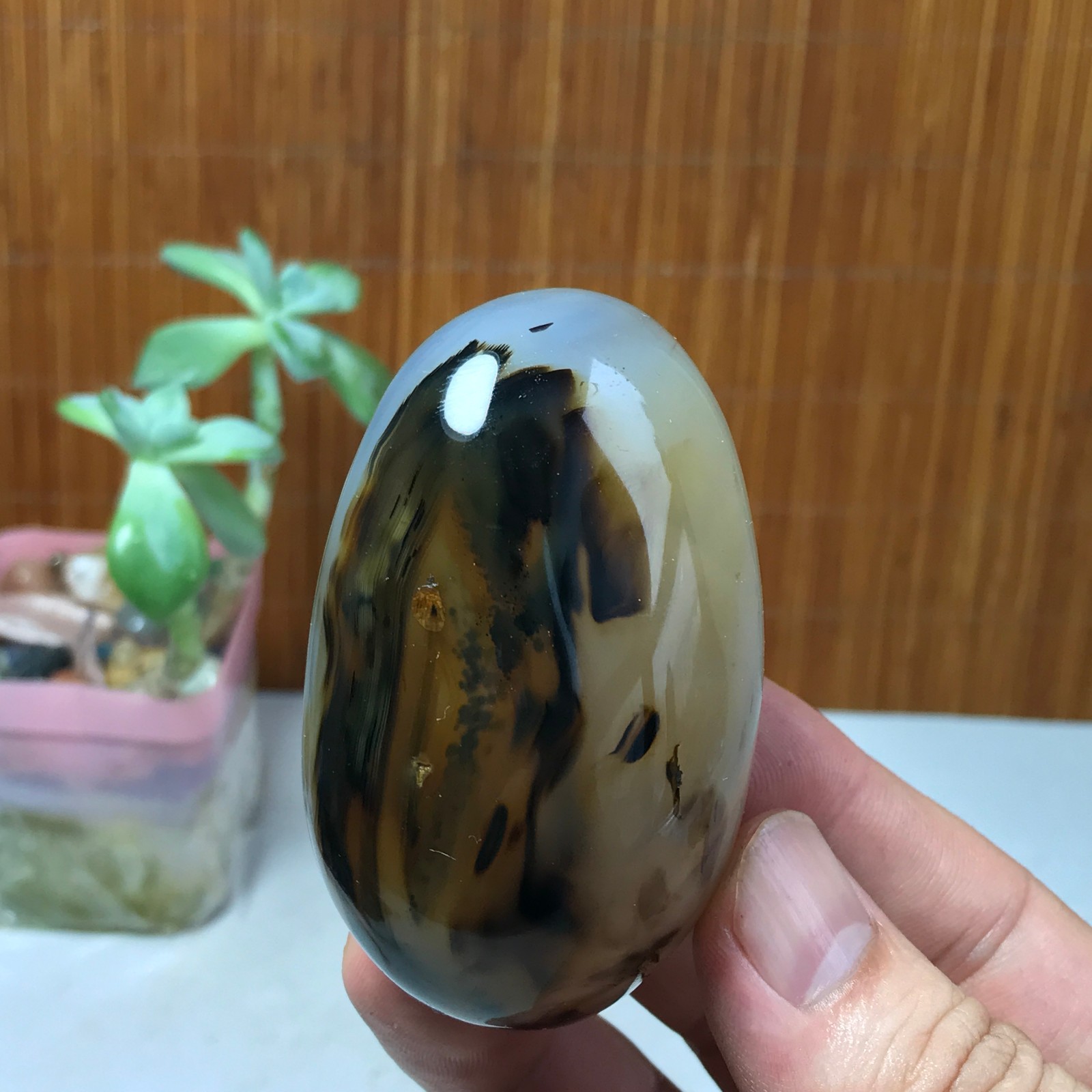 67mm Natural aquatic plants agate pretty Crystal specimens 142g A1633