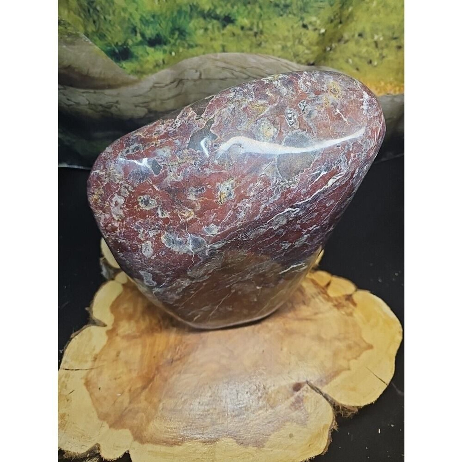 Chicken Blood Stone Quartz Crystal – CrystalCloud Company