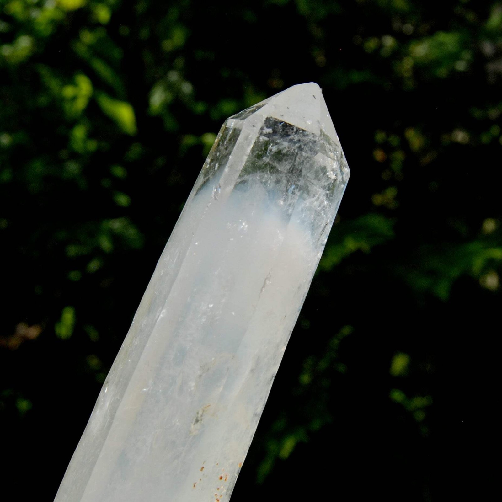 XL AAA Colombian Blue Smoke Lemurian Quartz Crystal Starbary, 8.5″ 244g Record K