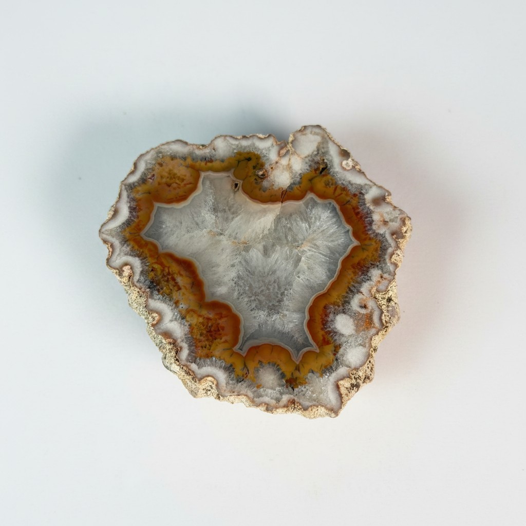 Puma Agate from Argentina