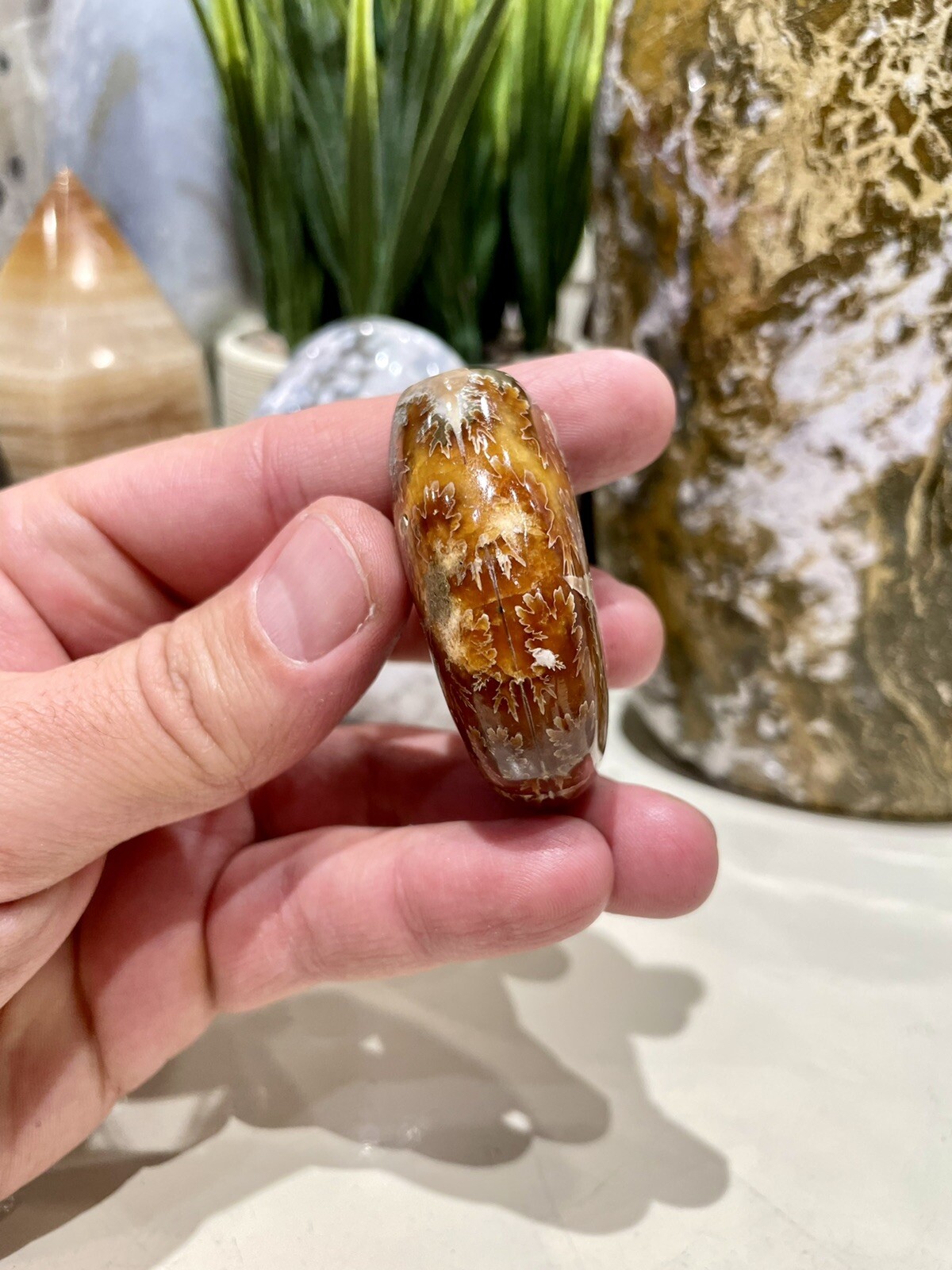 Ammonite Fossil Conch Specimen 2” Crystal Healing Yoga Reiki Rock ZENDA