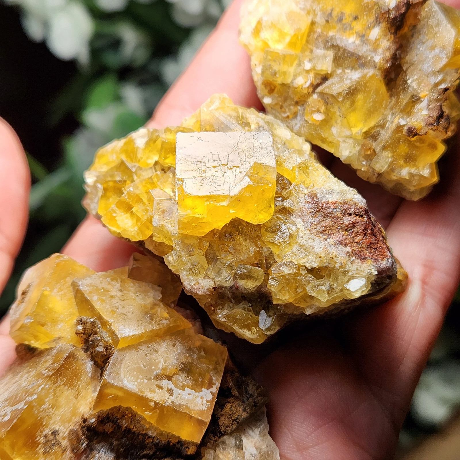 Yellow Fluorite Cluster