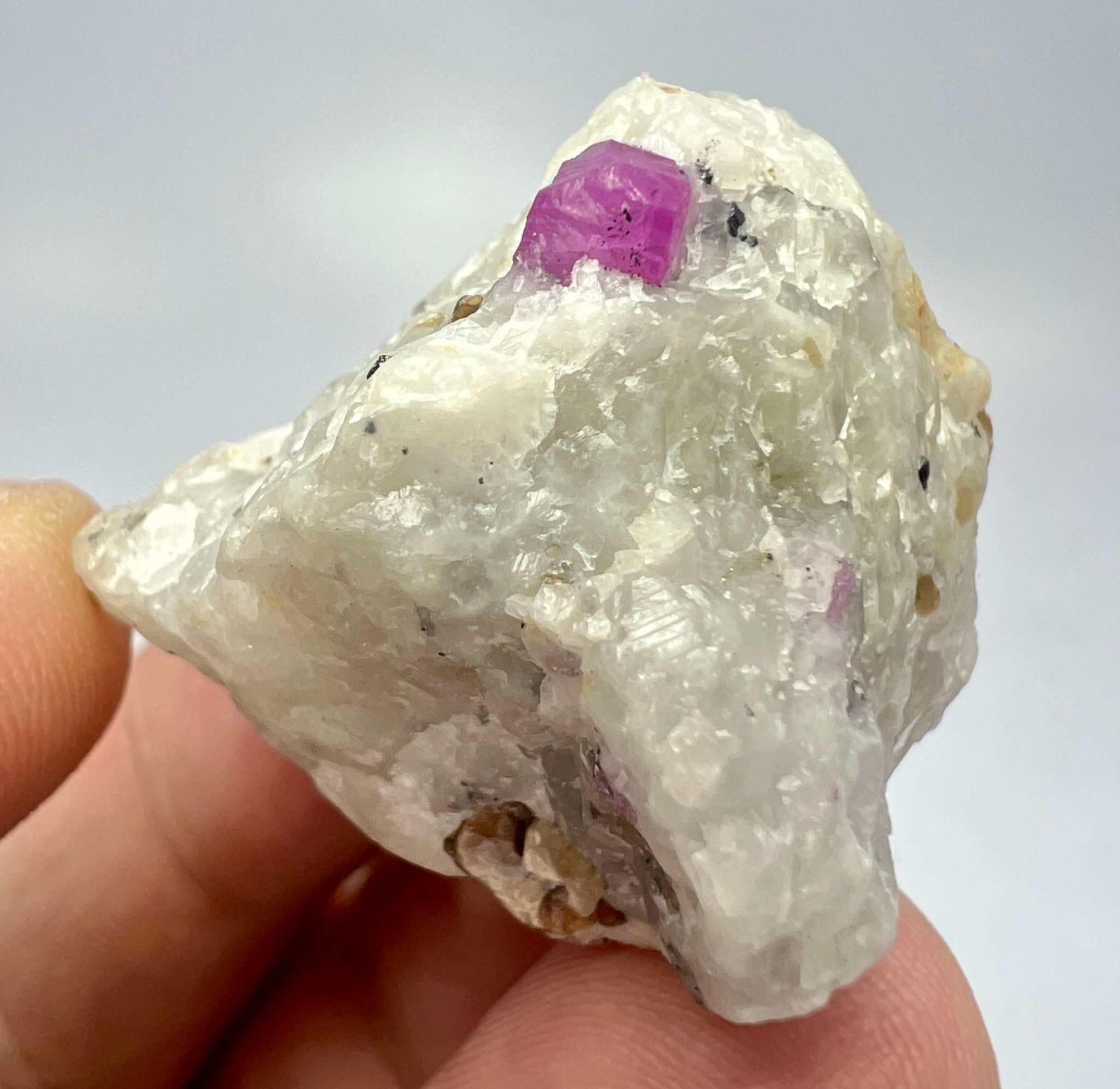 118 Carat Outstanding Ruby Crystal on Matrix from Jegdalek Mining Afghanistan