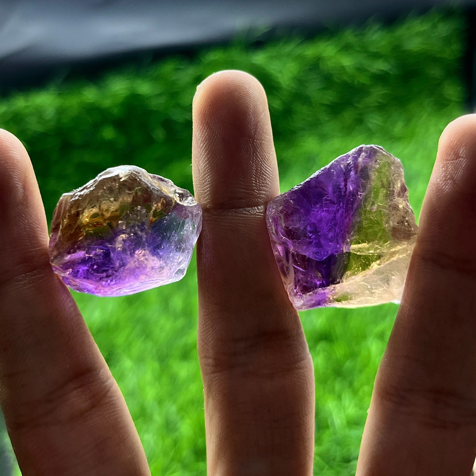 2 Pcs Rare Ametrine Rough Gemstones Lot– Natural Raw Amethyst and Citrine