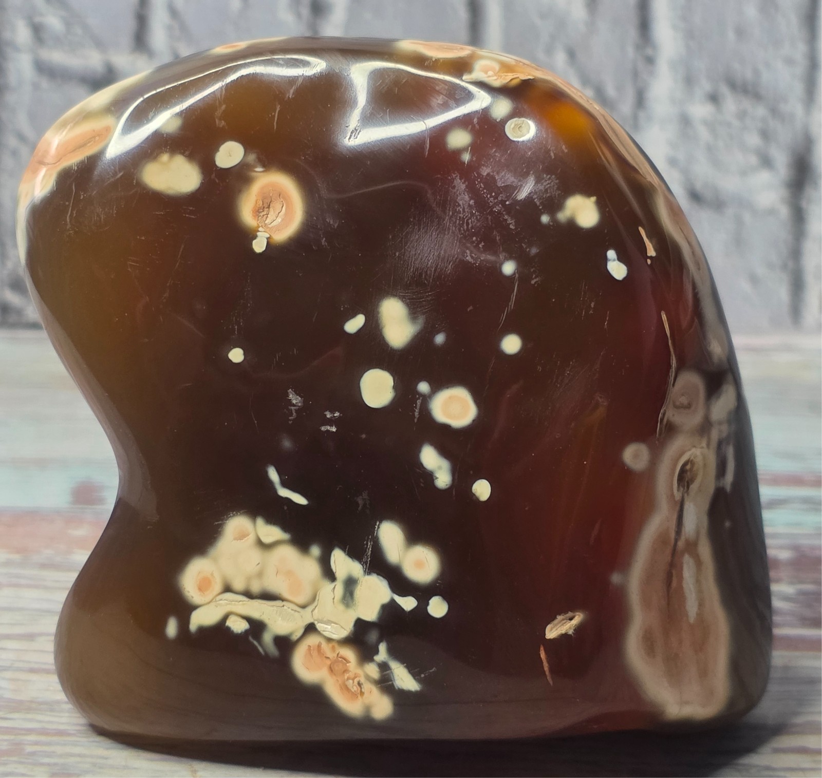 Large Rare Natural Amber Color Orca Agate Polished Freeform Translucent Color