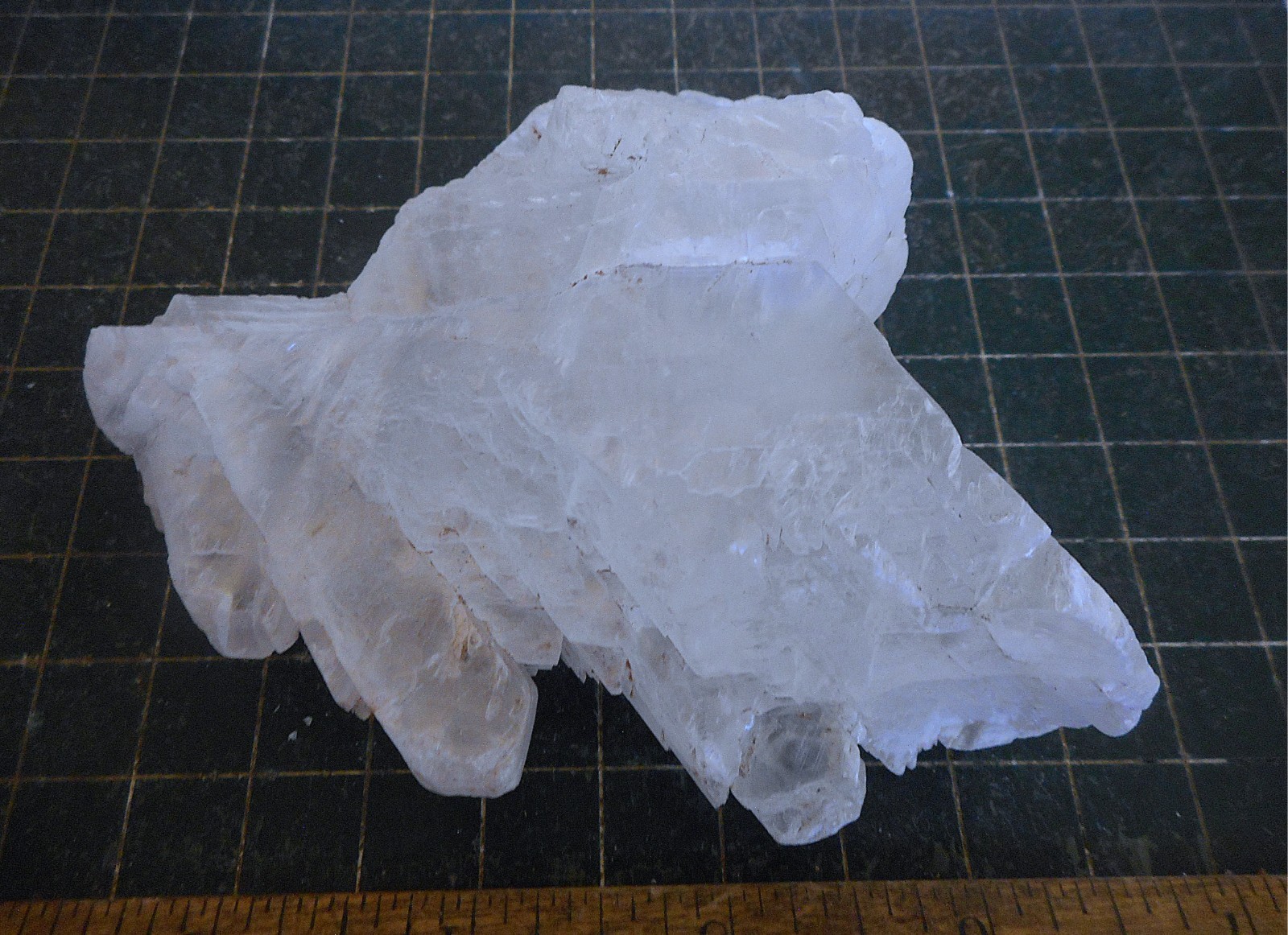 Fish Tail Selenite. Natural. Gypsum Specimen. 4.5″ (114mm). 295 grams