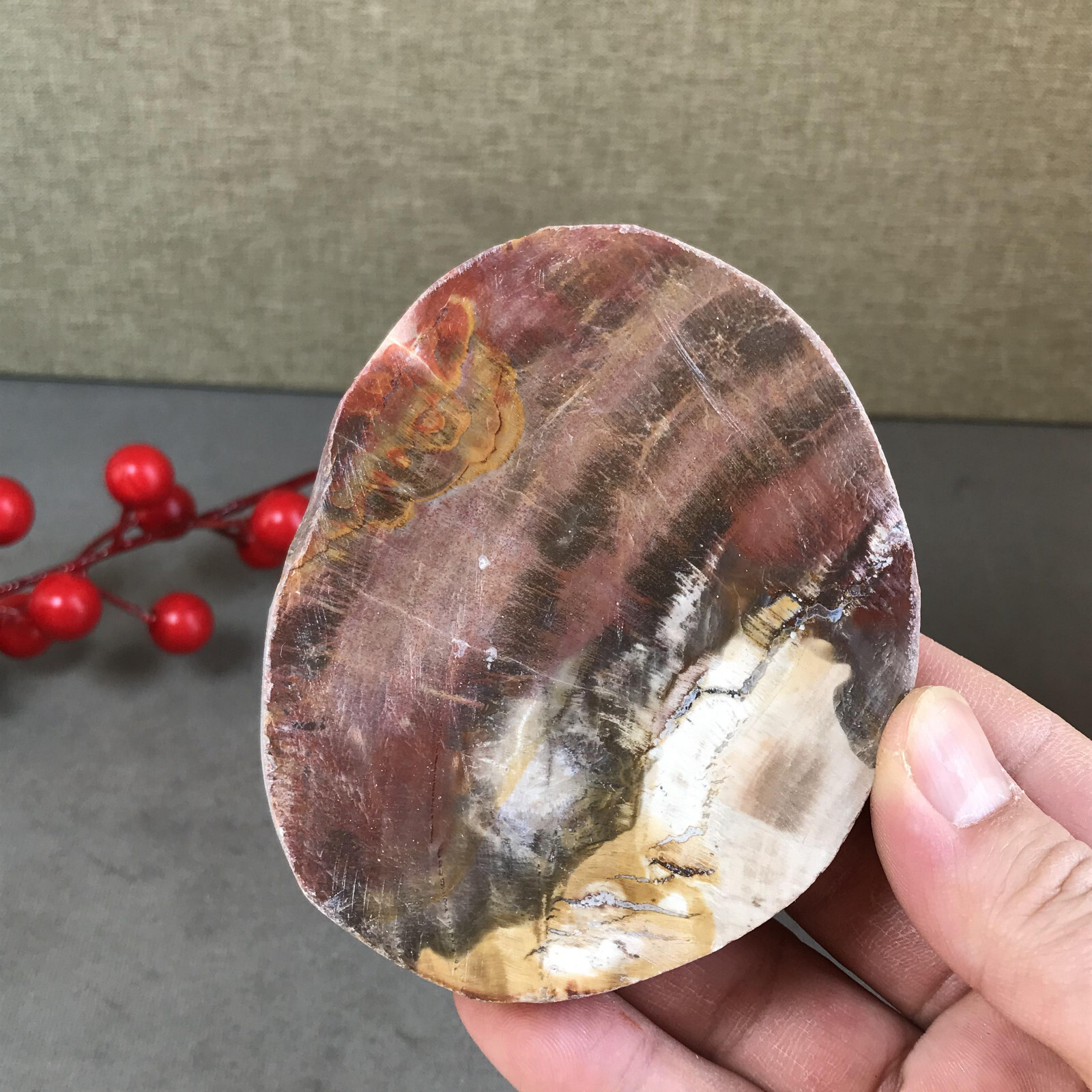 97mm natural Beautiful Petrified Wood Crystal Slice mineral specimen 247g A5426