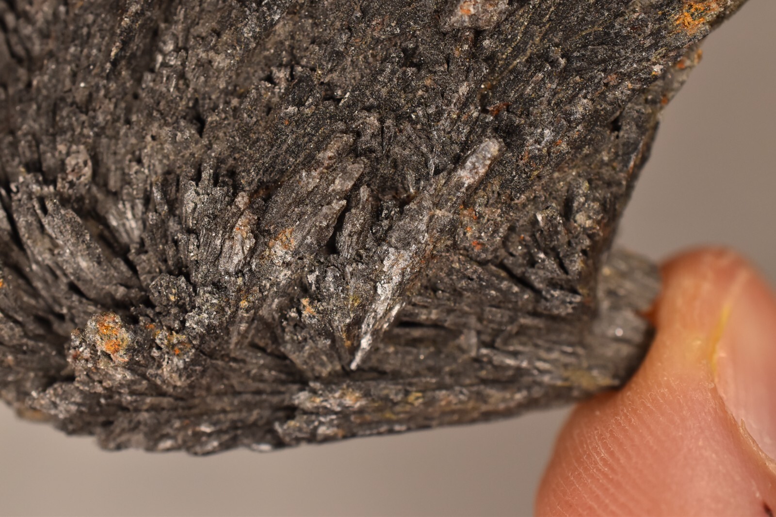 *BLACK KYANITE* CRYSTAL 6.8cm 24g Natural Specimen Healing Grounding Energizing
