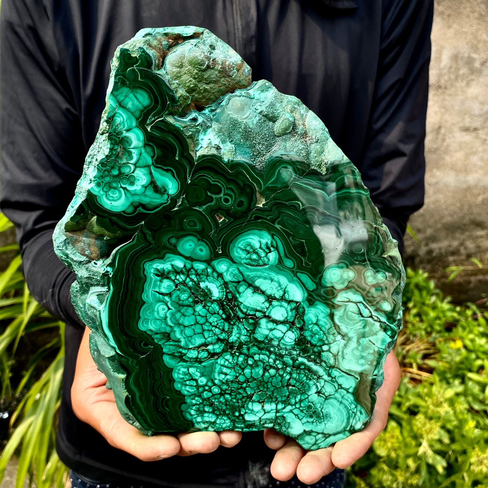 3.61LB Natural malachite slice quartz crystal luster mineral specimen