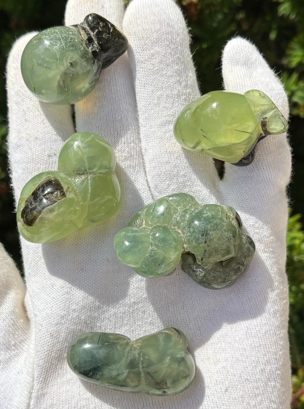 USA SALE 120g LOT 5 PREHNITE & EPIDOTE BOTRYOIDAL TUMBLES TUMBLE STONE STONES