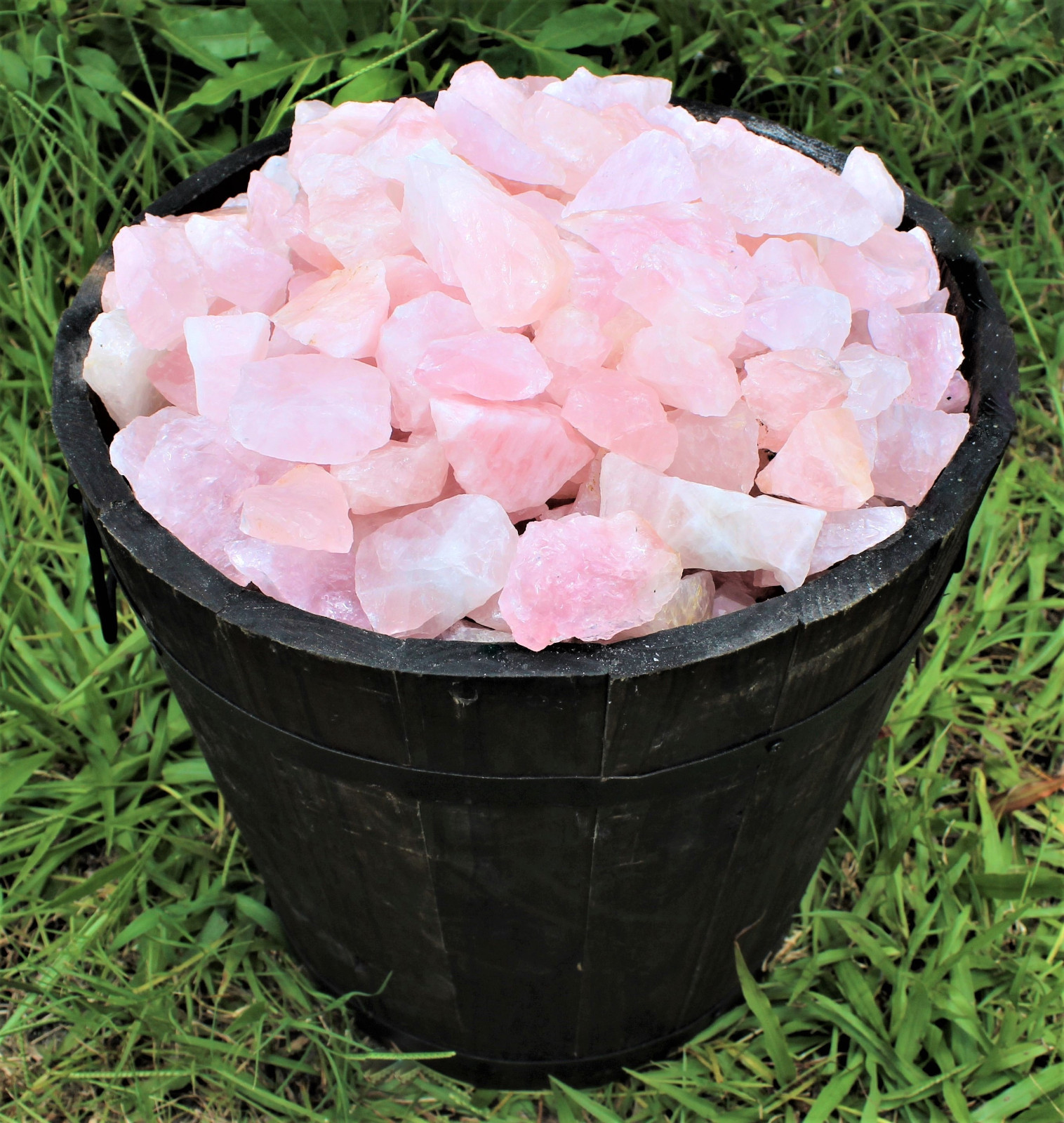 Single LARGE Rough Rose Quartz Raw Crystal Love Stone Natural Specimen (2″-3″)
