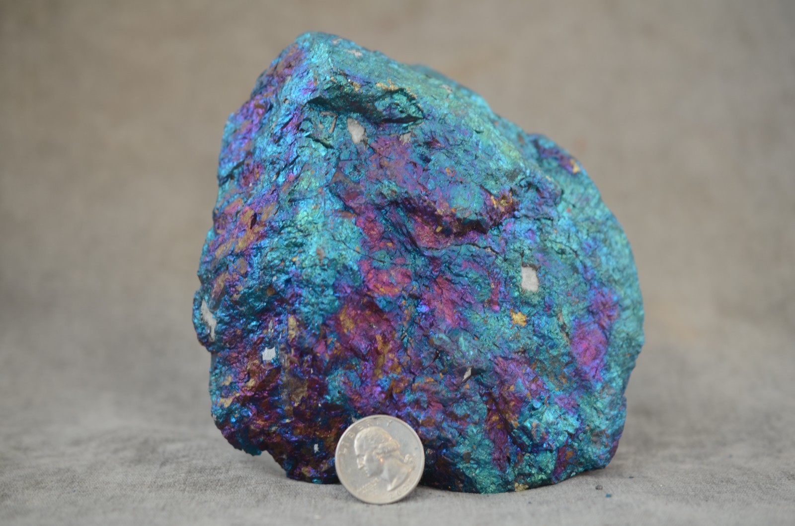 5 pound 2 ounce Pound Peacock Ore Specimen Zacatecas Mexico