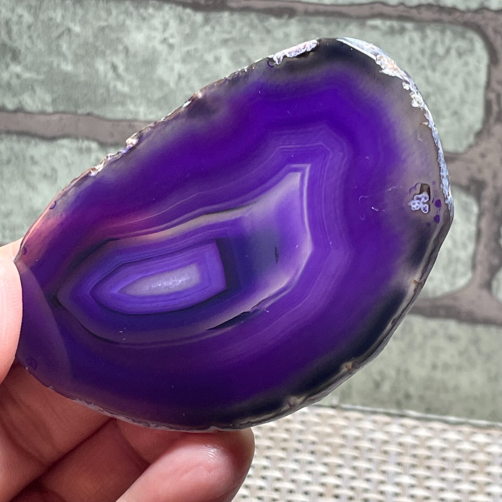 Bedrock Natural Agate Slice Coasters Display Table Geode Decor 48g F100