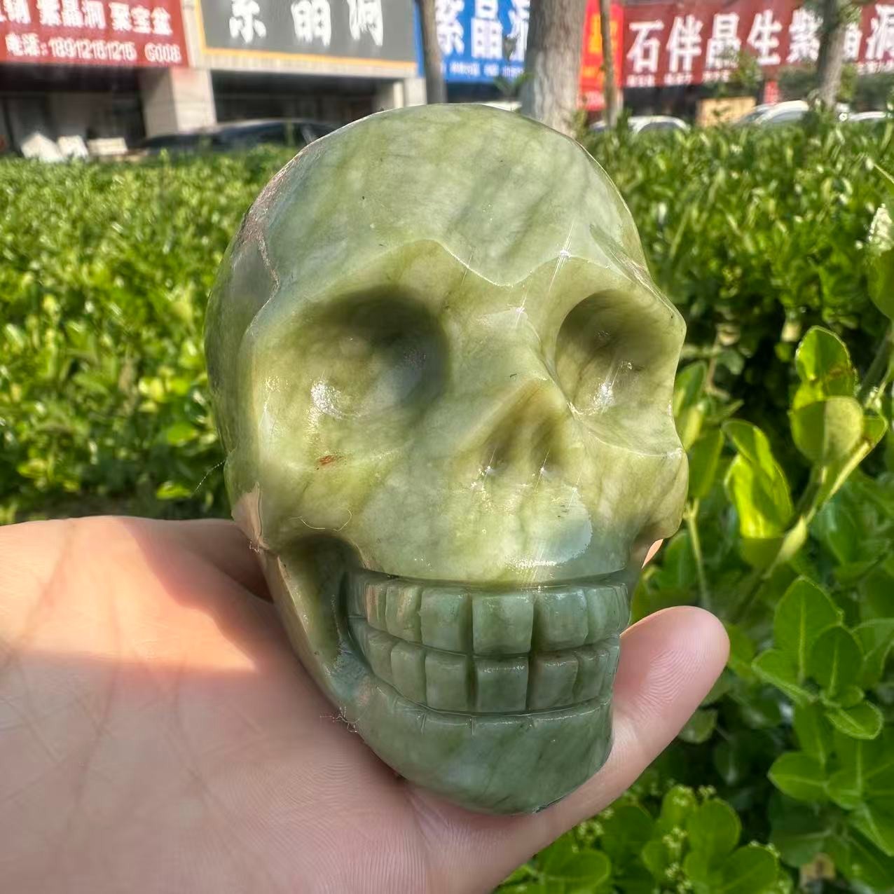 1pc Natural ophiolite carved Quartz Crystal skull Mineral Specimen
