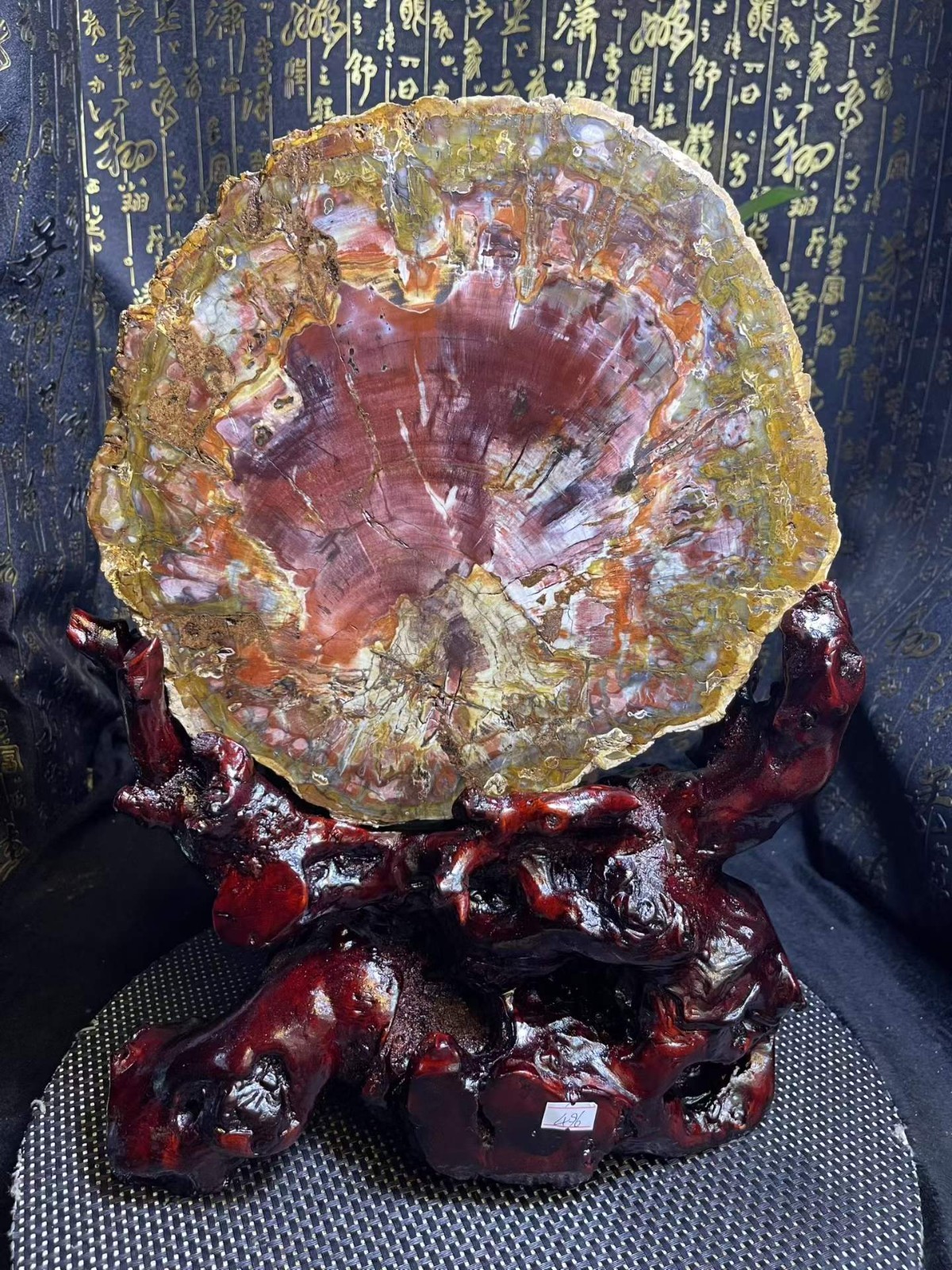 10.9LB Natural Petrified Wood Slice mineral specimen Crystal energy healing+base
