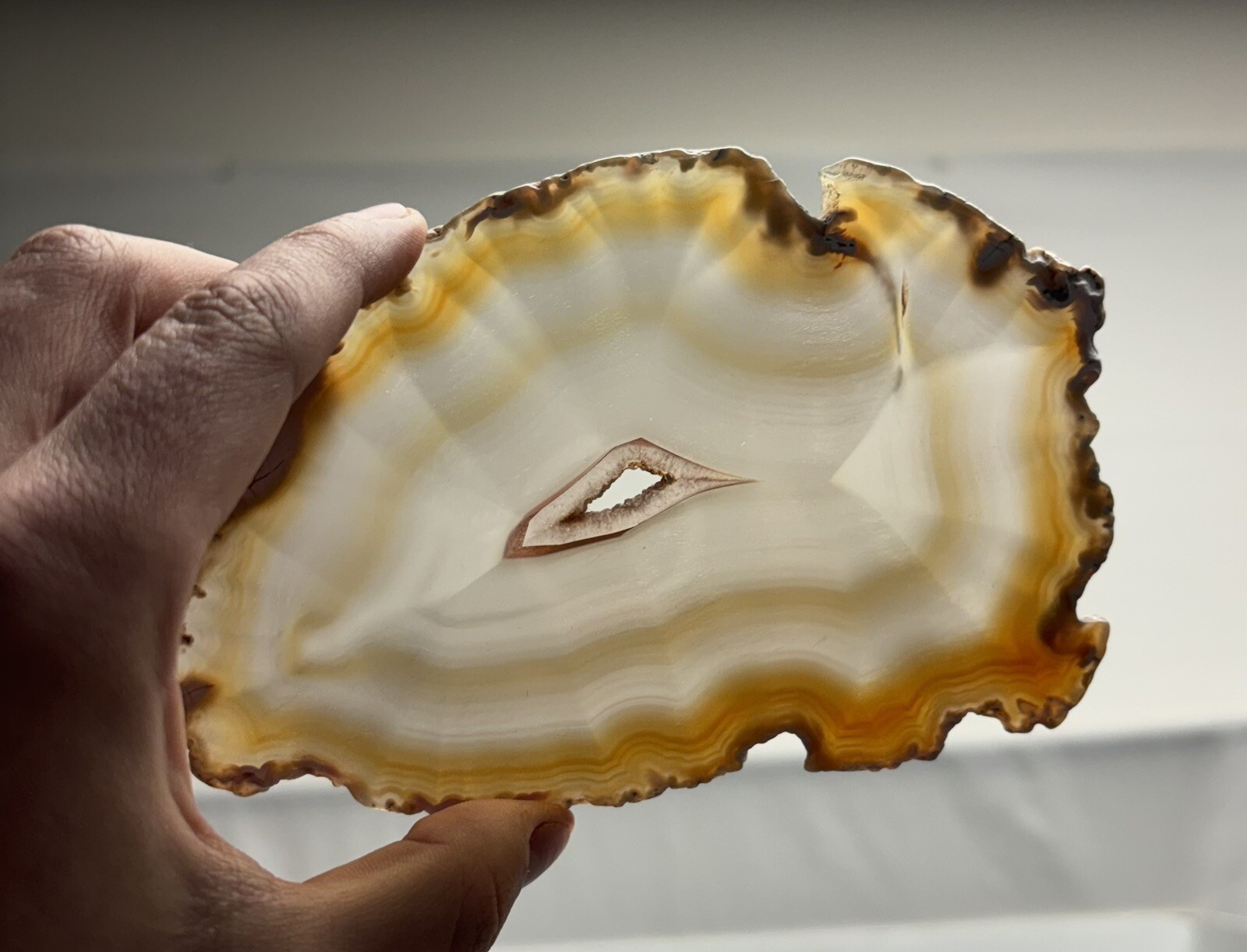 Natural Agate Slice Translucent Brazil Gold Yellow Clear Quartz