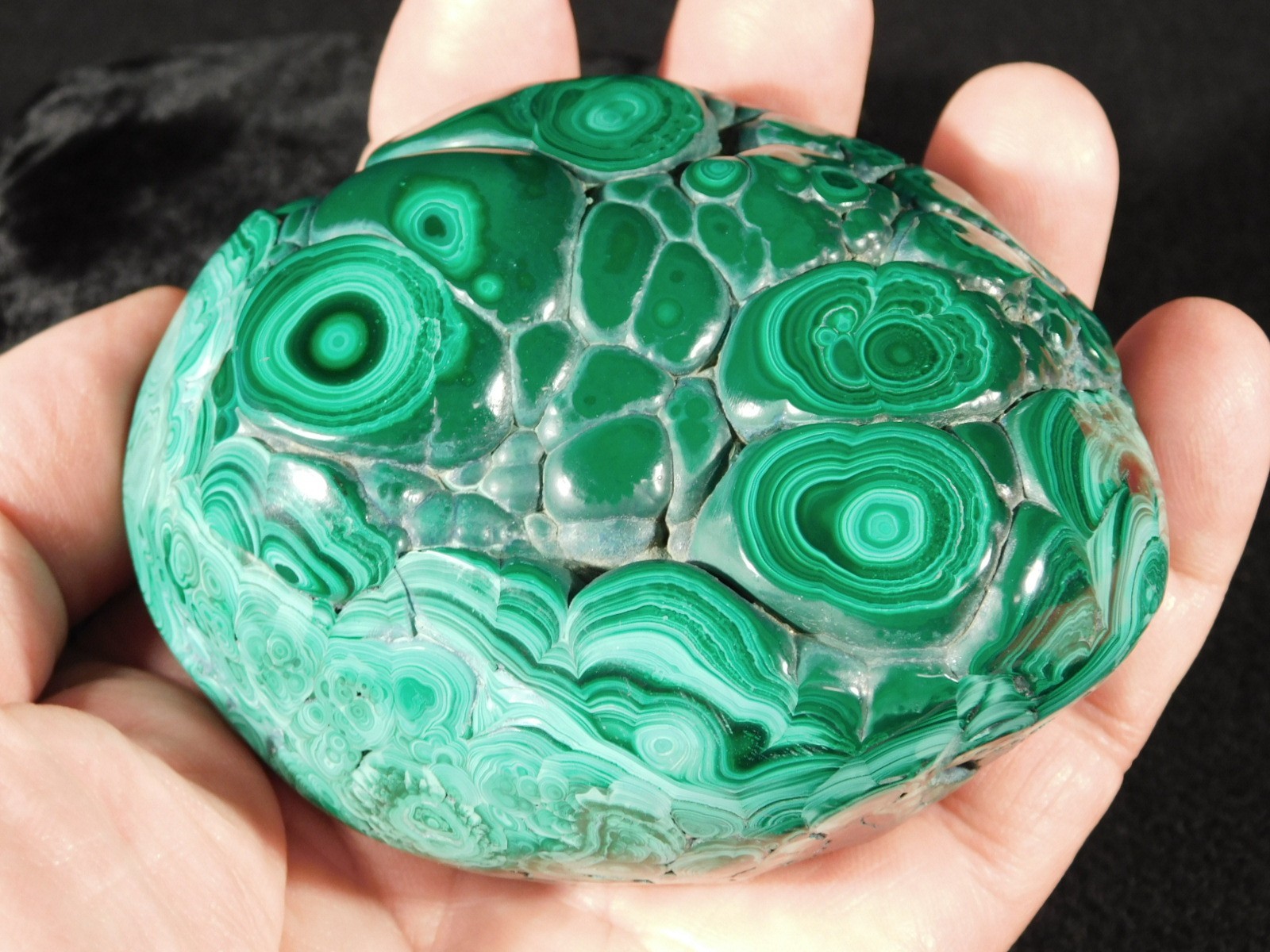 BIG! Polished Deep GREEN Malachite STALACTITE or Stalagmite w/Stand Congo 603gr