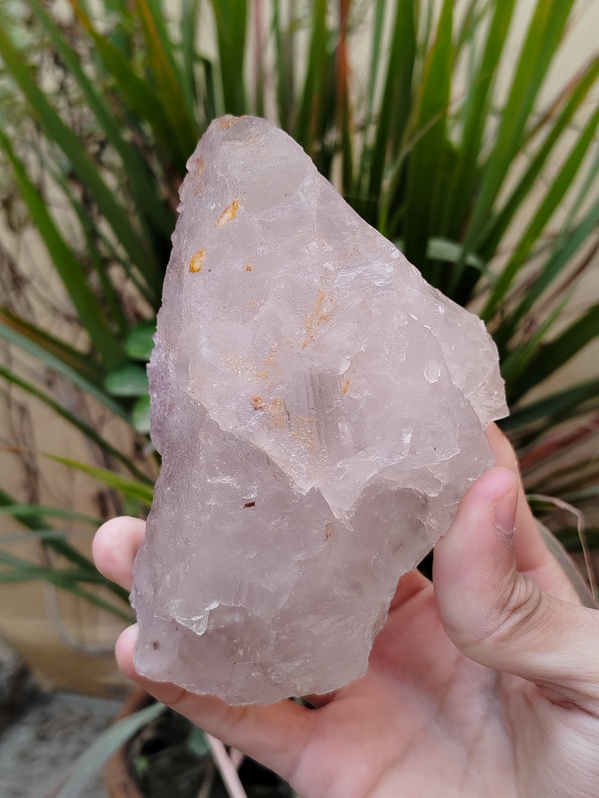 630g Natural Step Wise Cubic Fluorite Purple Lining Crystals Mineral Specimen