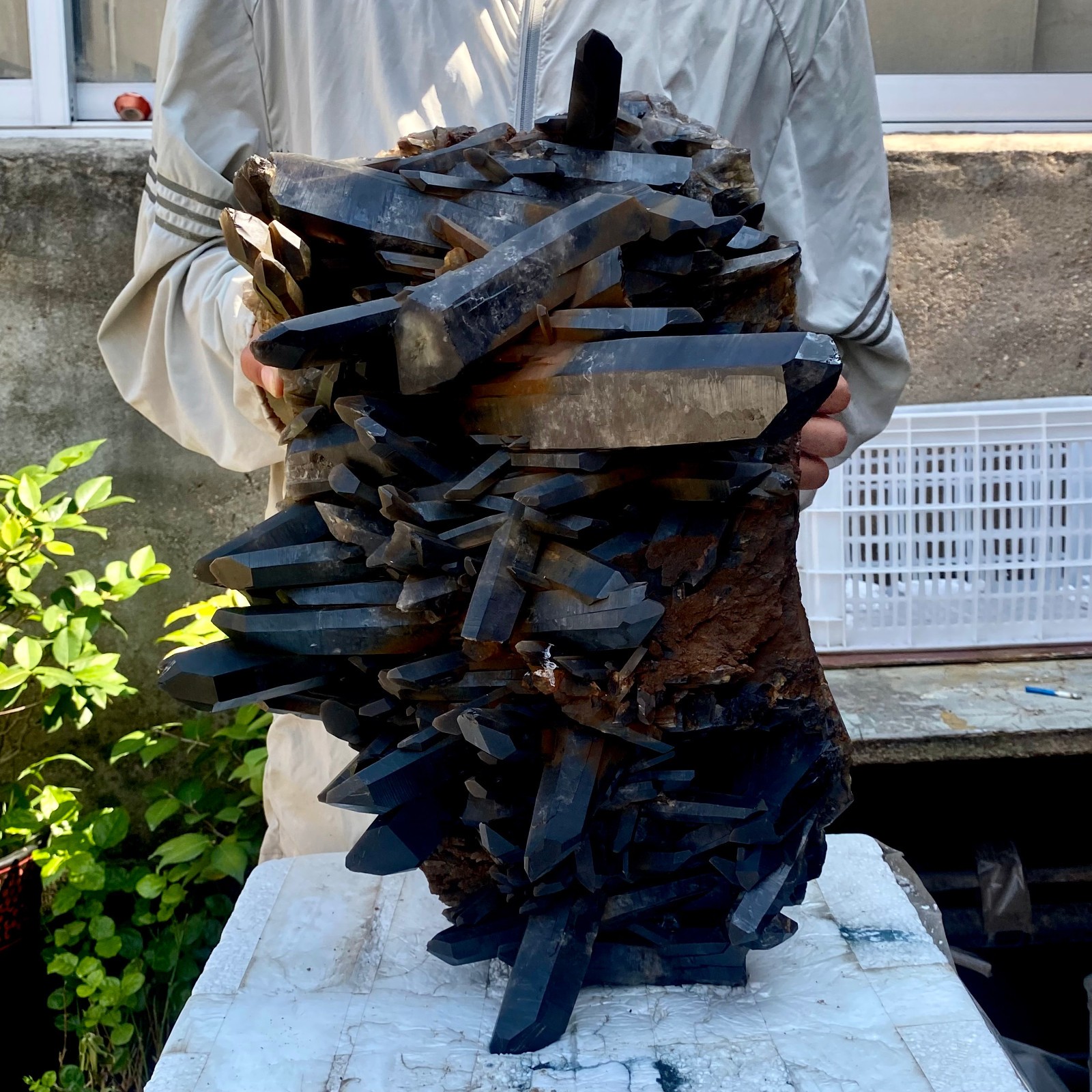 57LB Tea black Crystal quartz Cluster Mineral Specimen Healing reiki