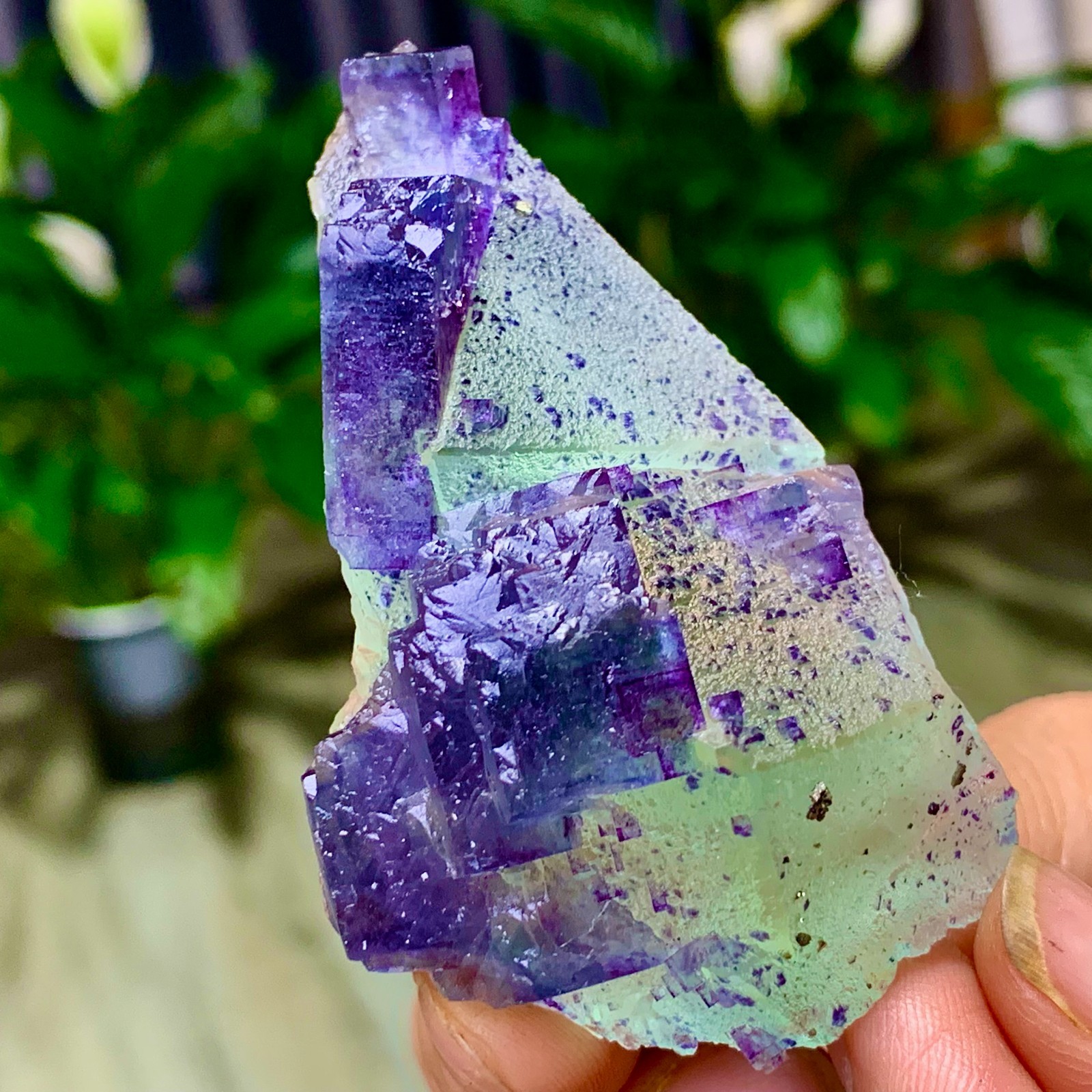 86G Rare transparent green purple cubic Zhejiang fluorite mineral sample