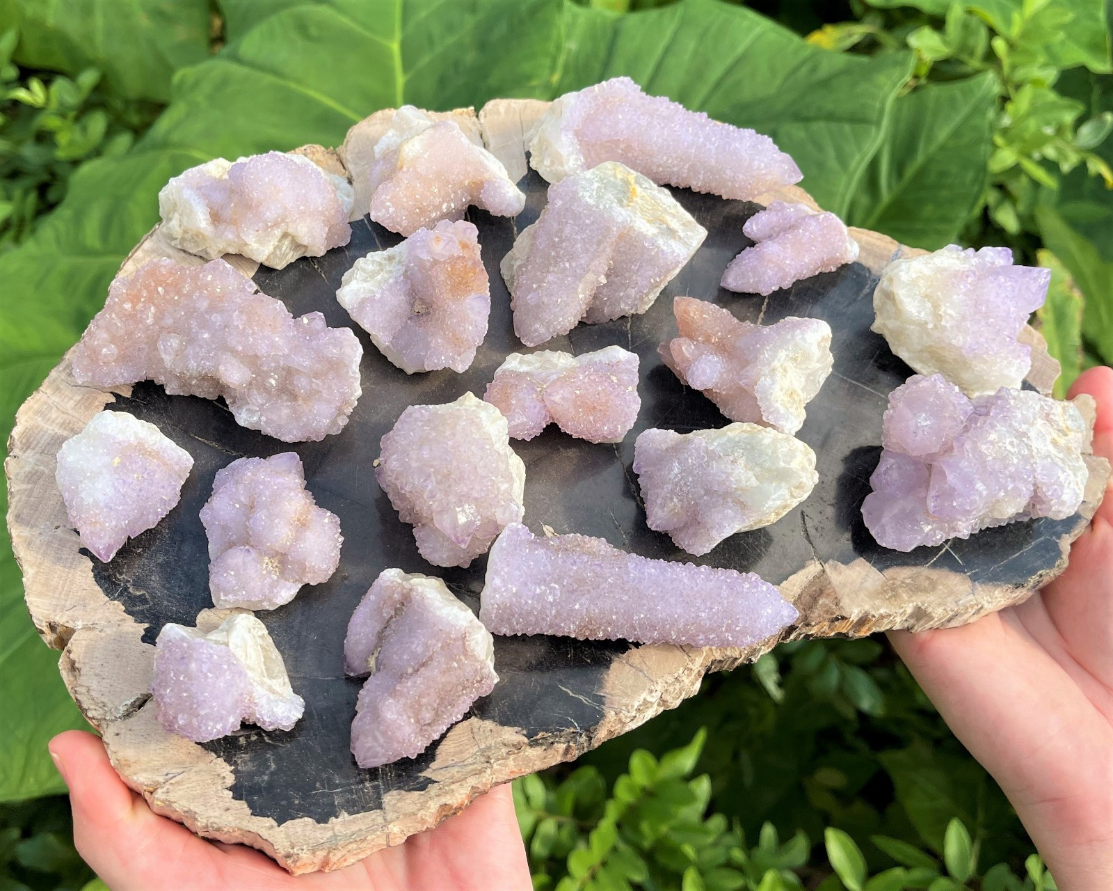 RARE Spirit Quartz Clusters Box: 8 oz, 5-6 Pieces (‘AAA’ Grade Natural Crystals)