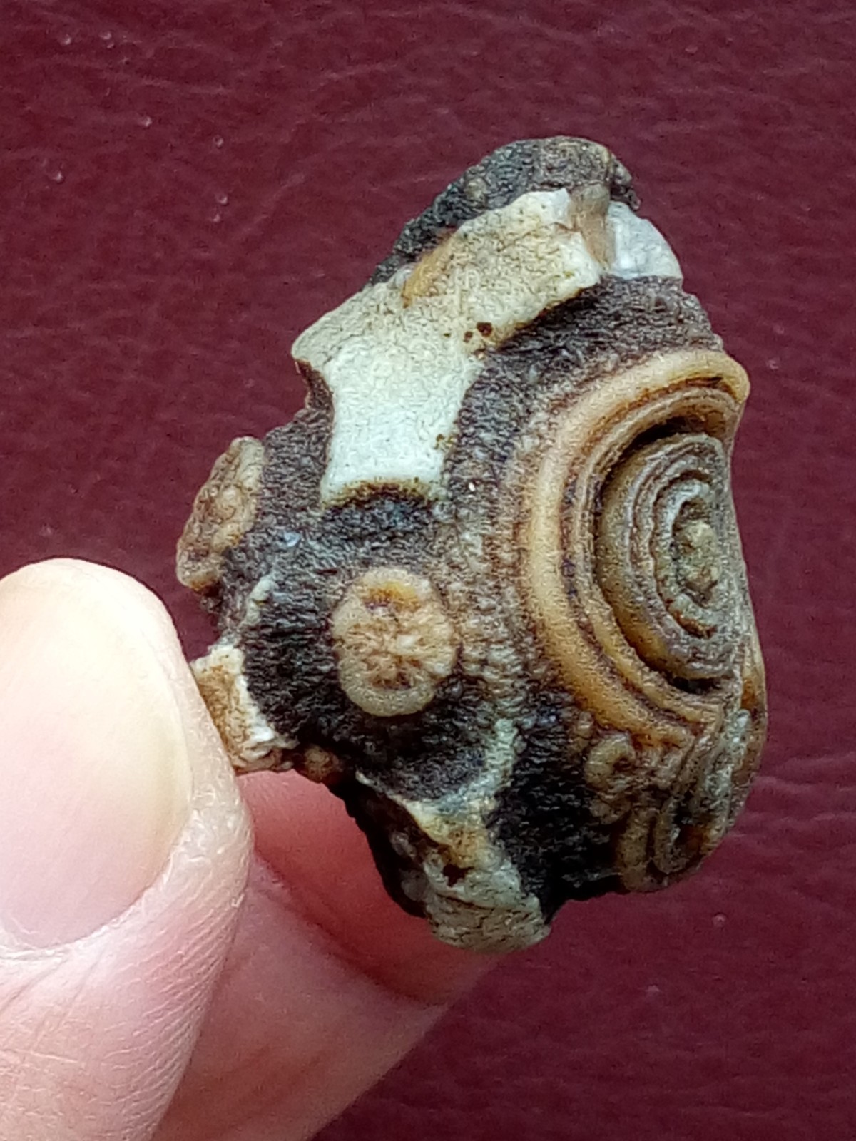 34mm Natural agate Gobi agate eye agate cute collection